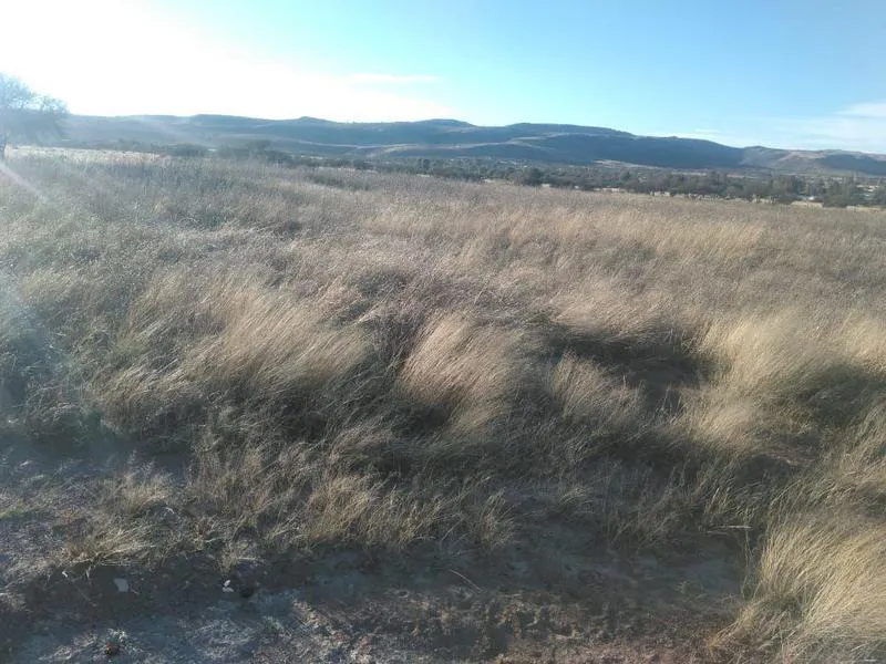 Terreno Spot2