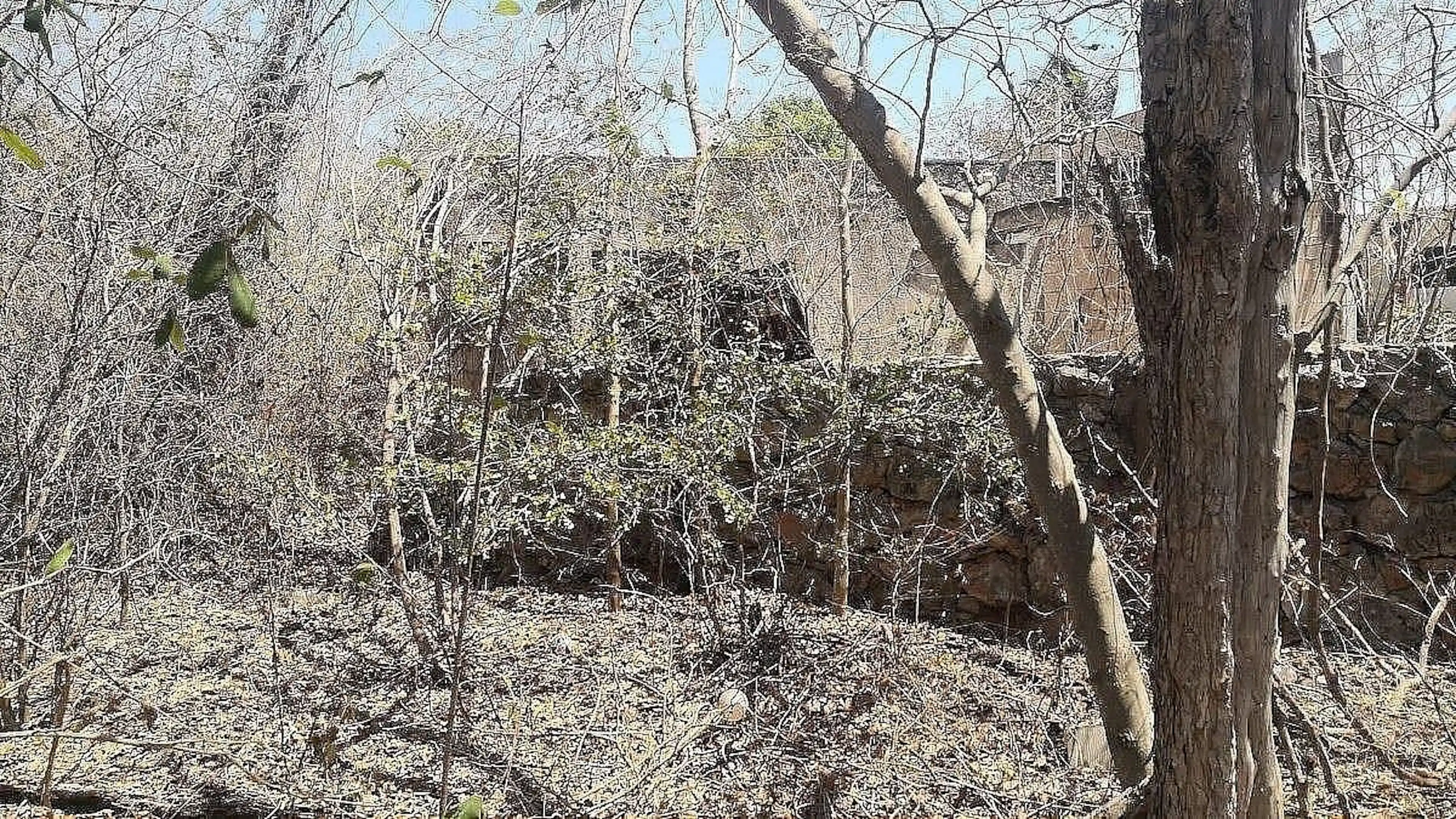 Terreno En Venta En HuxentamÁn, UmÁn – Propiedad Privada