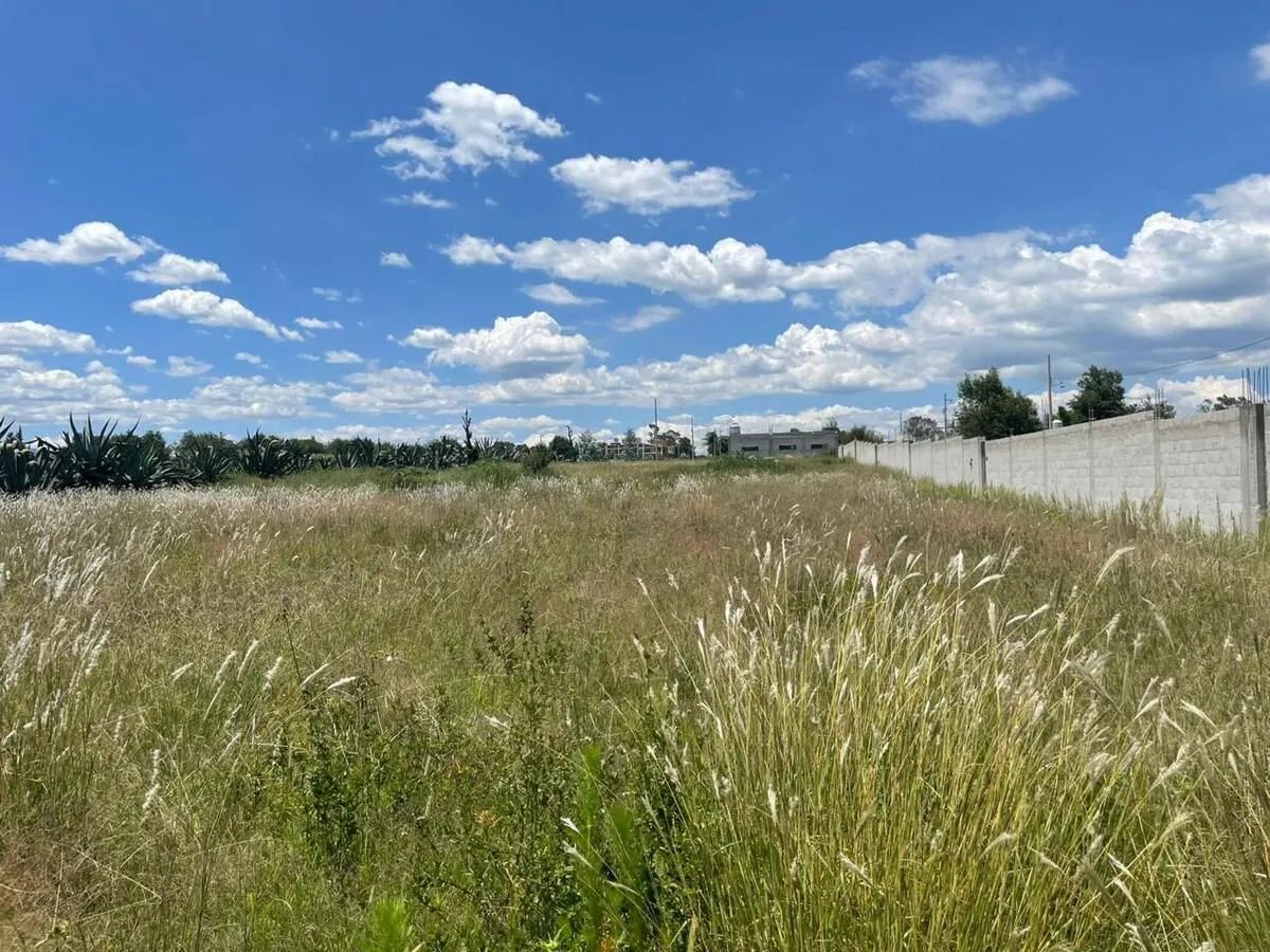 Terreno Spot2