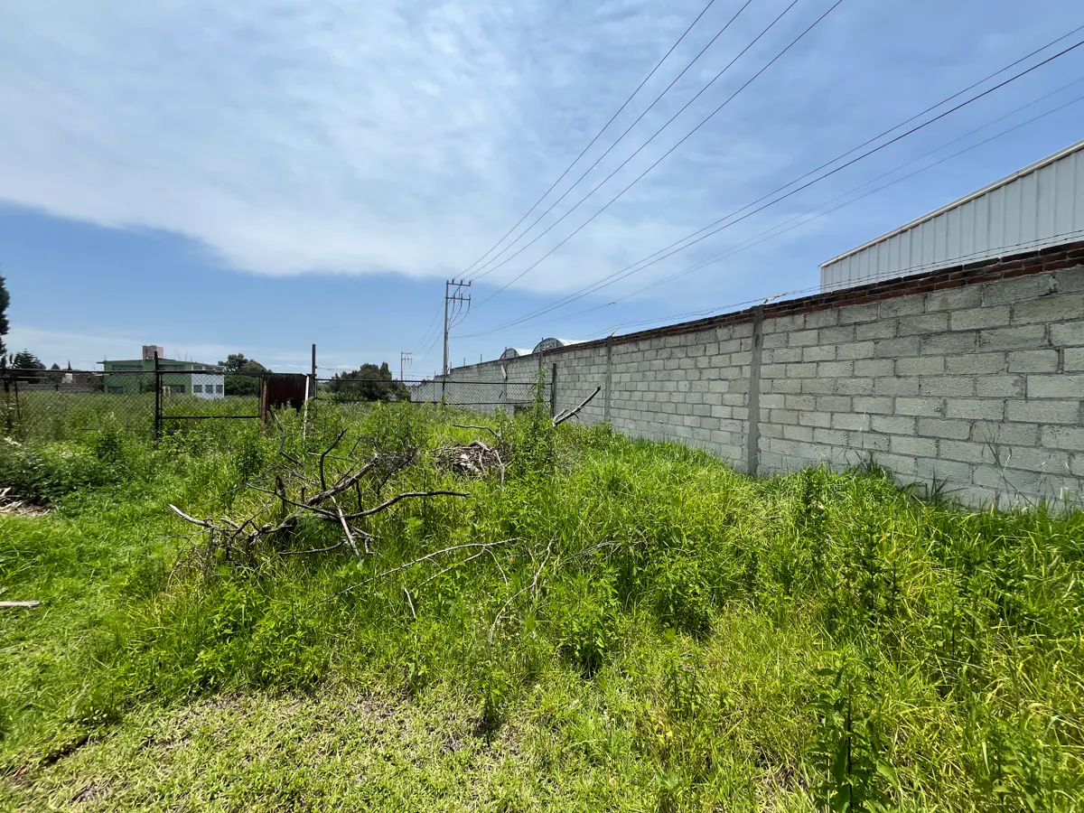 Terreno Spot2