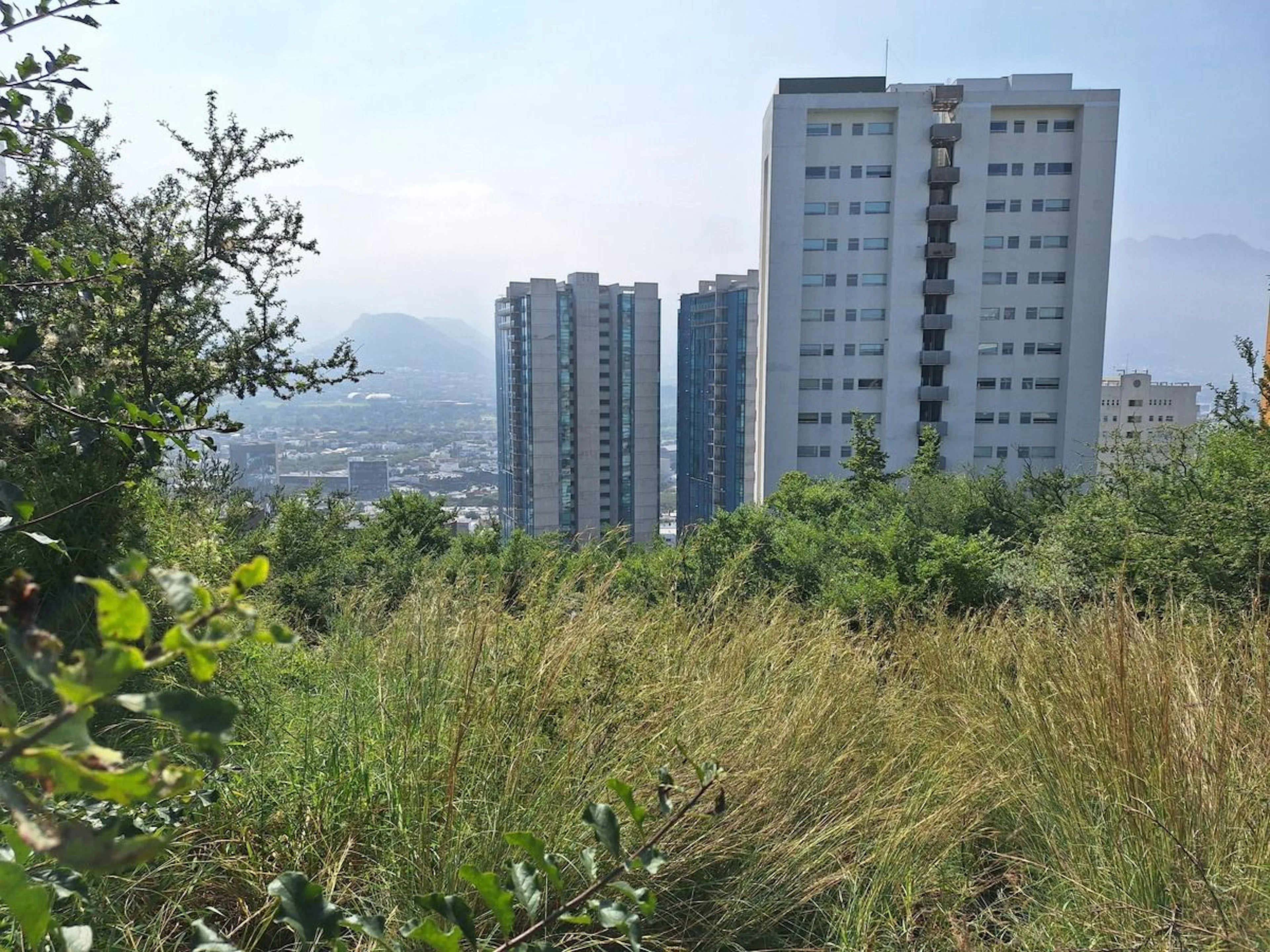 Terreno Spot2