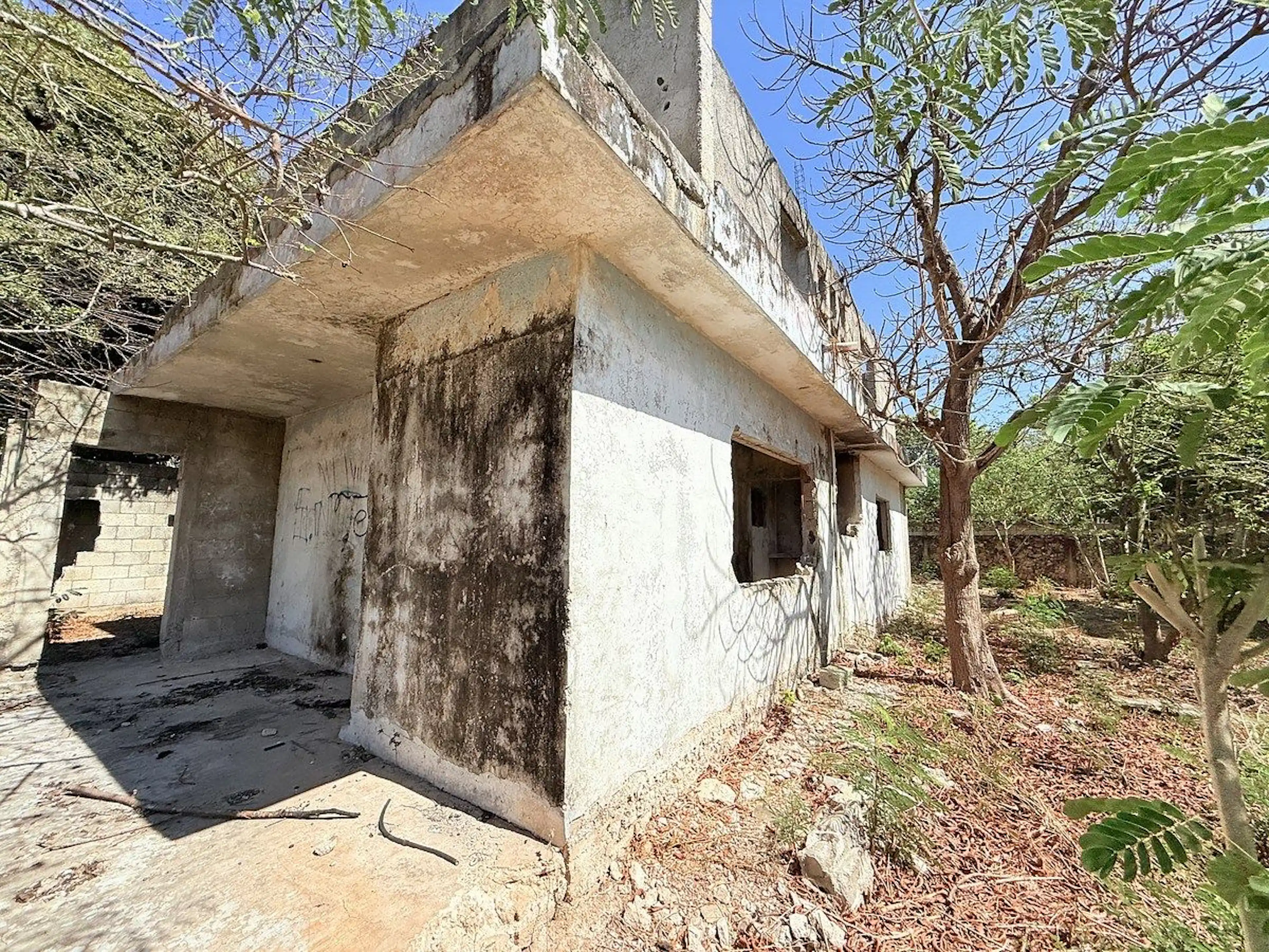 Terreno En El Roble Agrícola