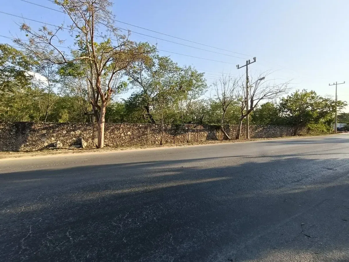 Terreno Spot2