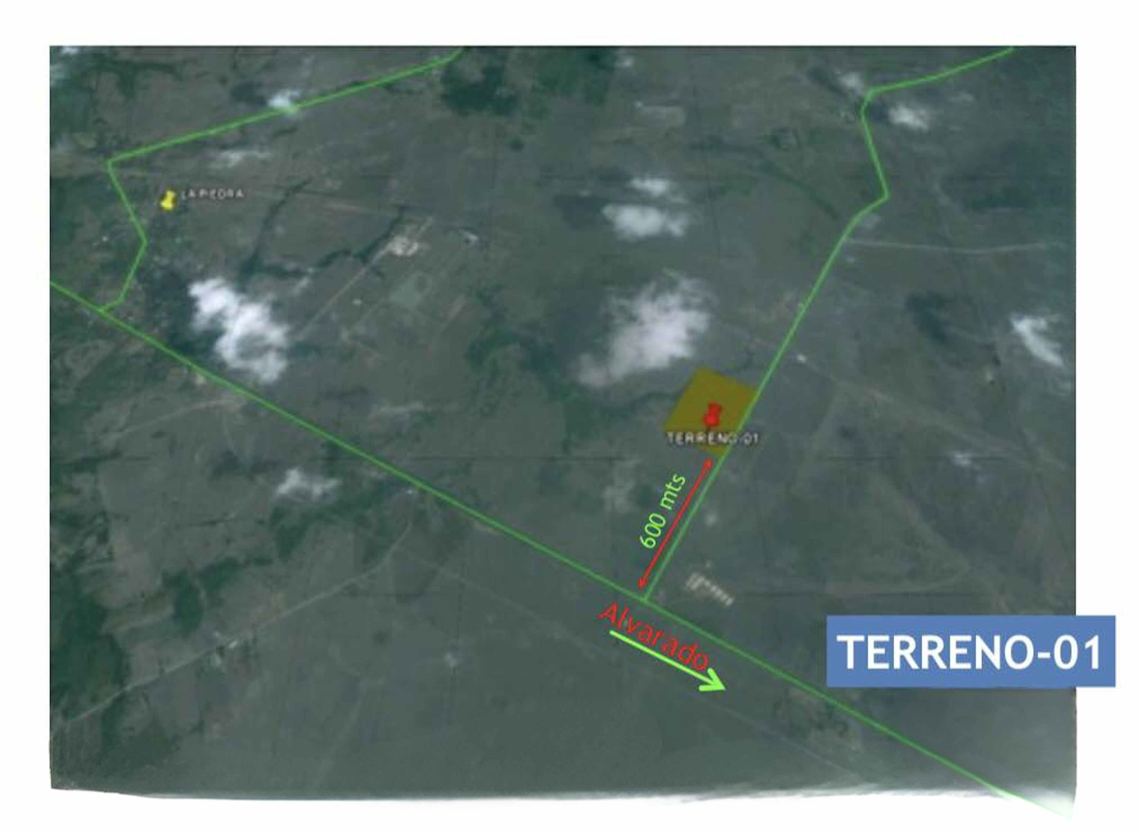 Vicente Guerrero 274