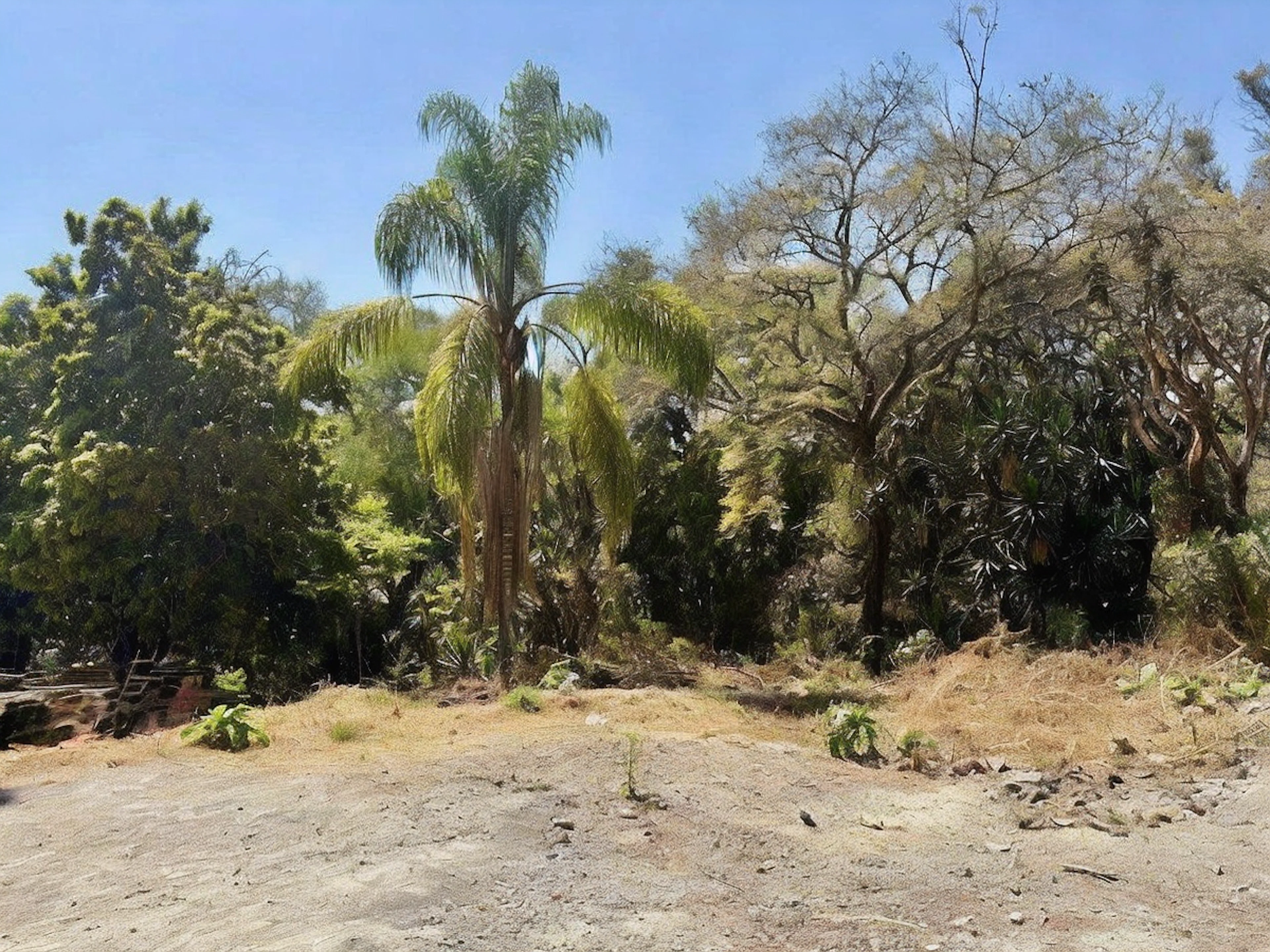 Terreno Spot2