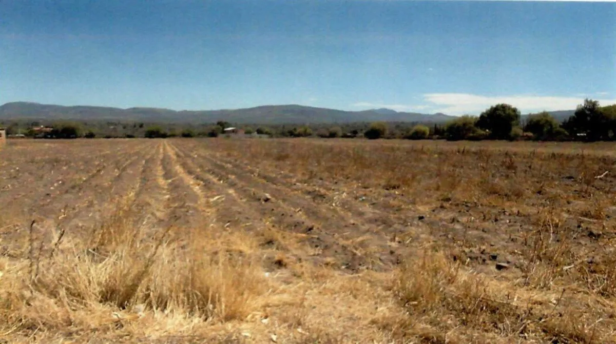 Terreno Spot2