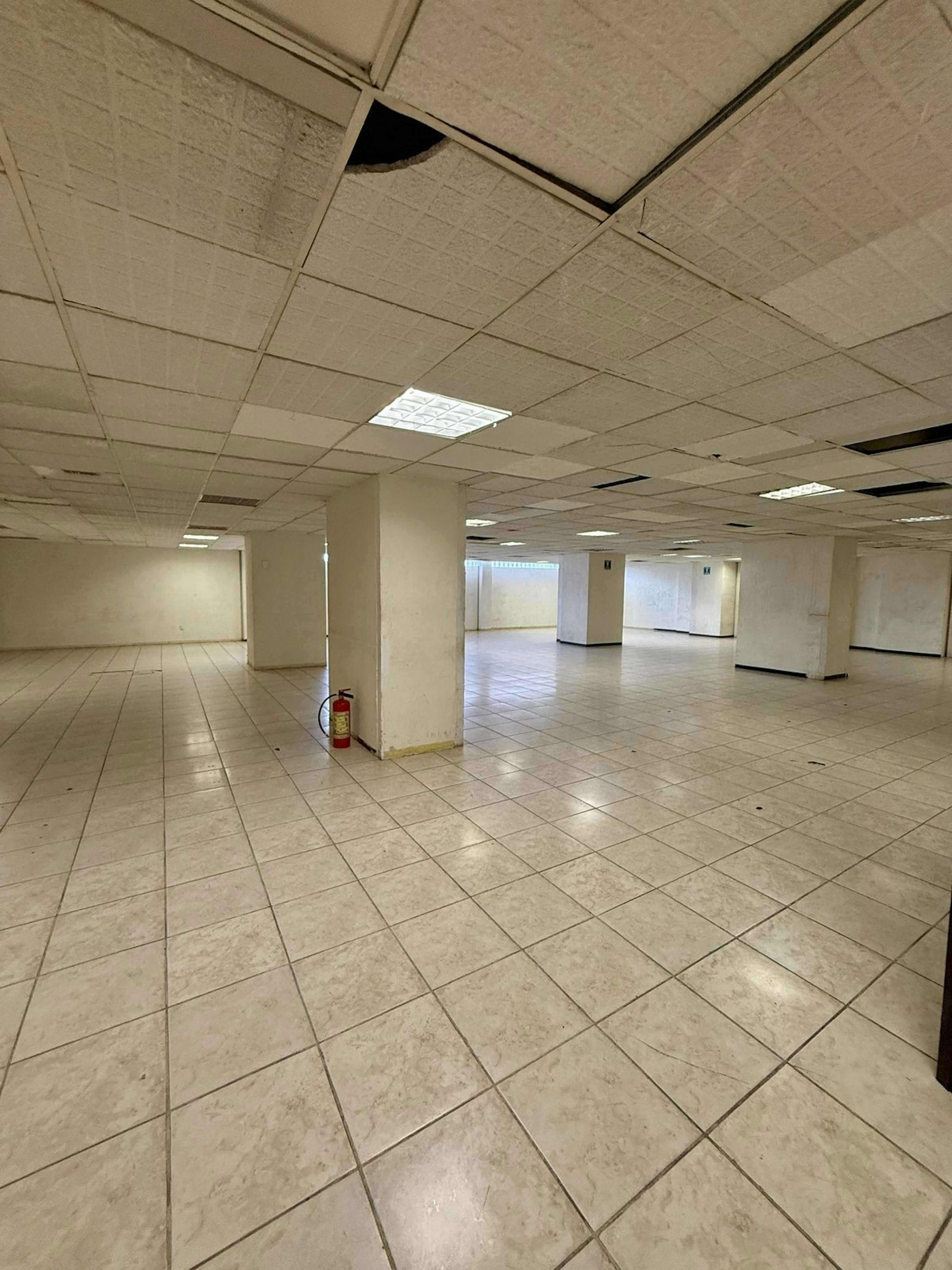 Fray Servando Teresa De Mier 81