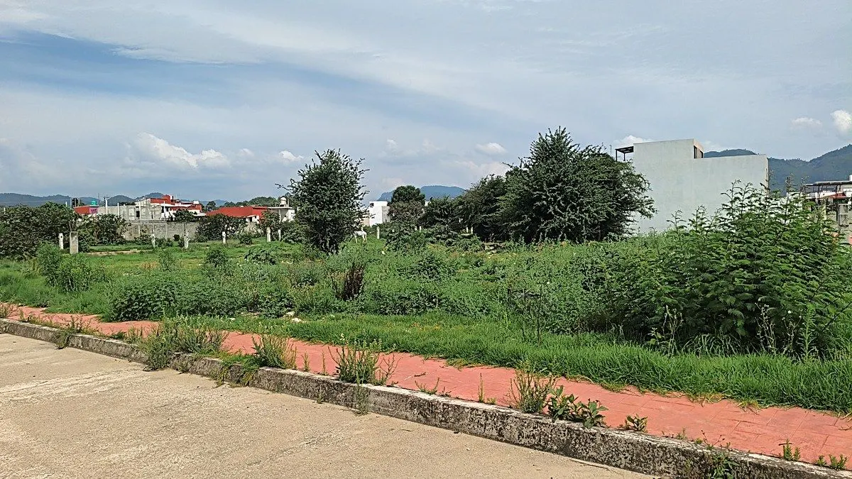 Terreno Spot2