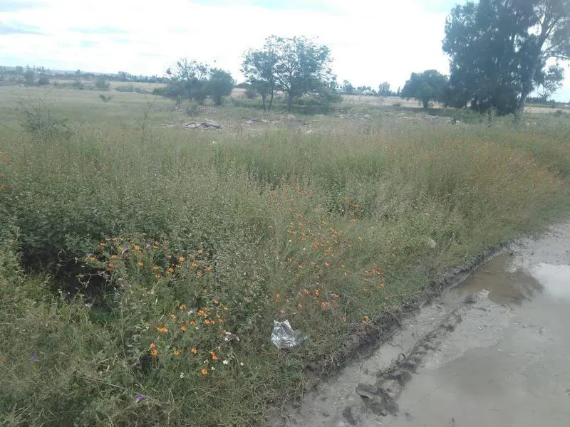Terreno Spot2