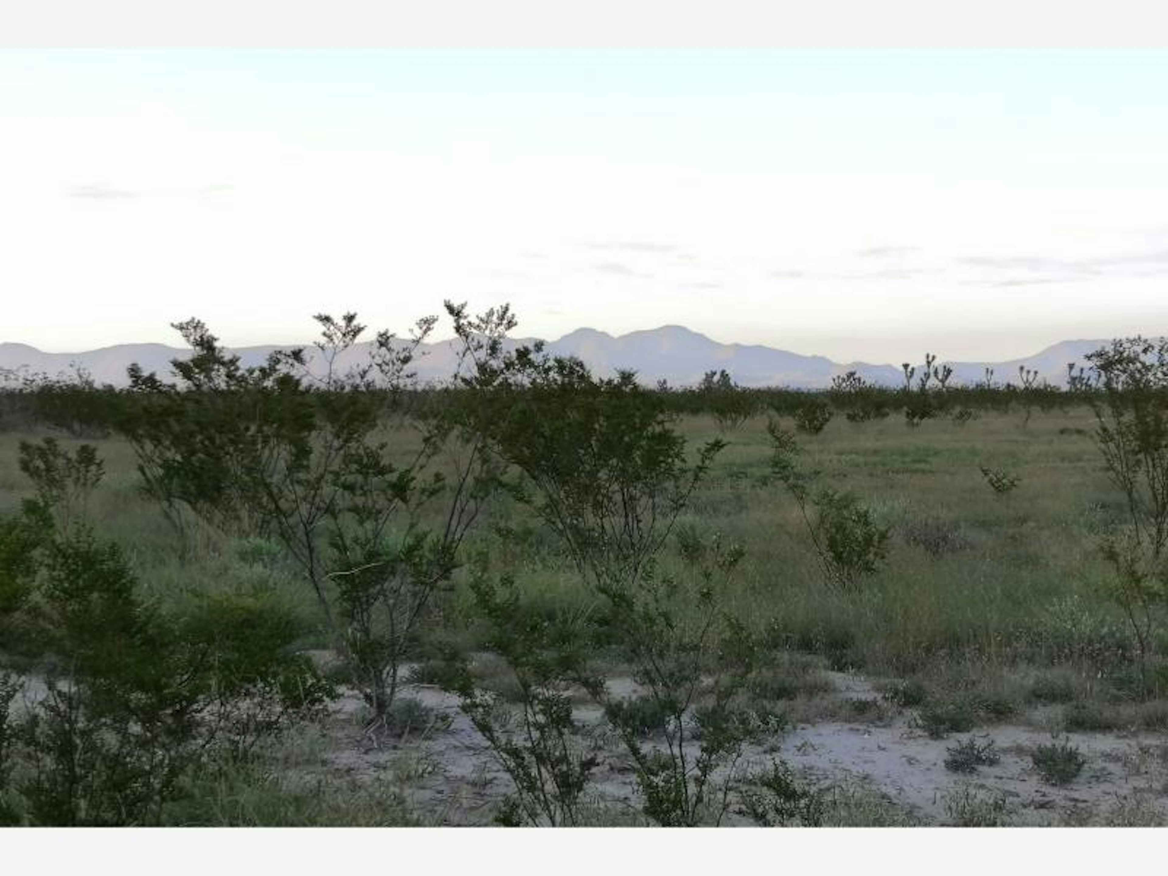 Terreno En Venta En El Derramadero, Saltillo, Coahuila De Zaragoza