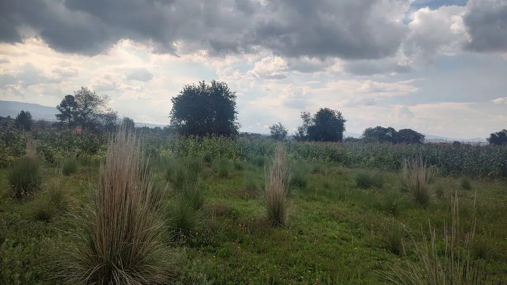 Terreno Spot2