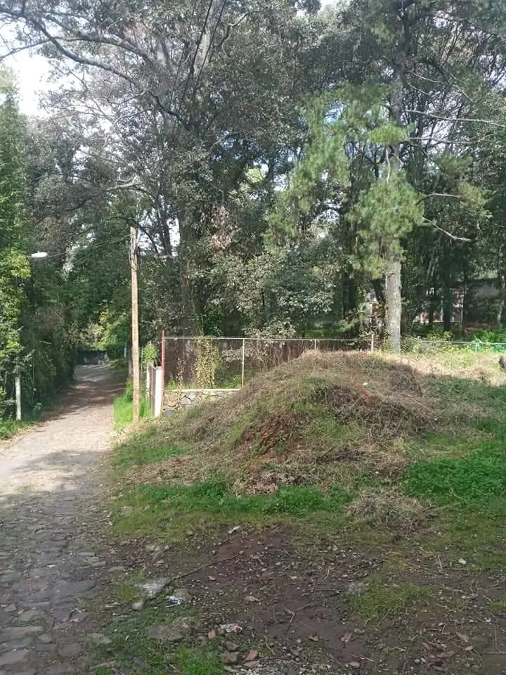 Terreno Spot2