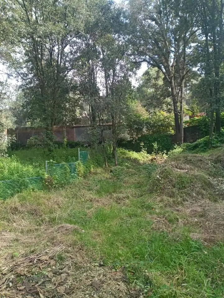 Terreno Spot2