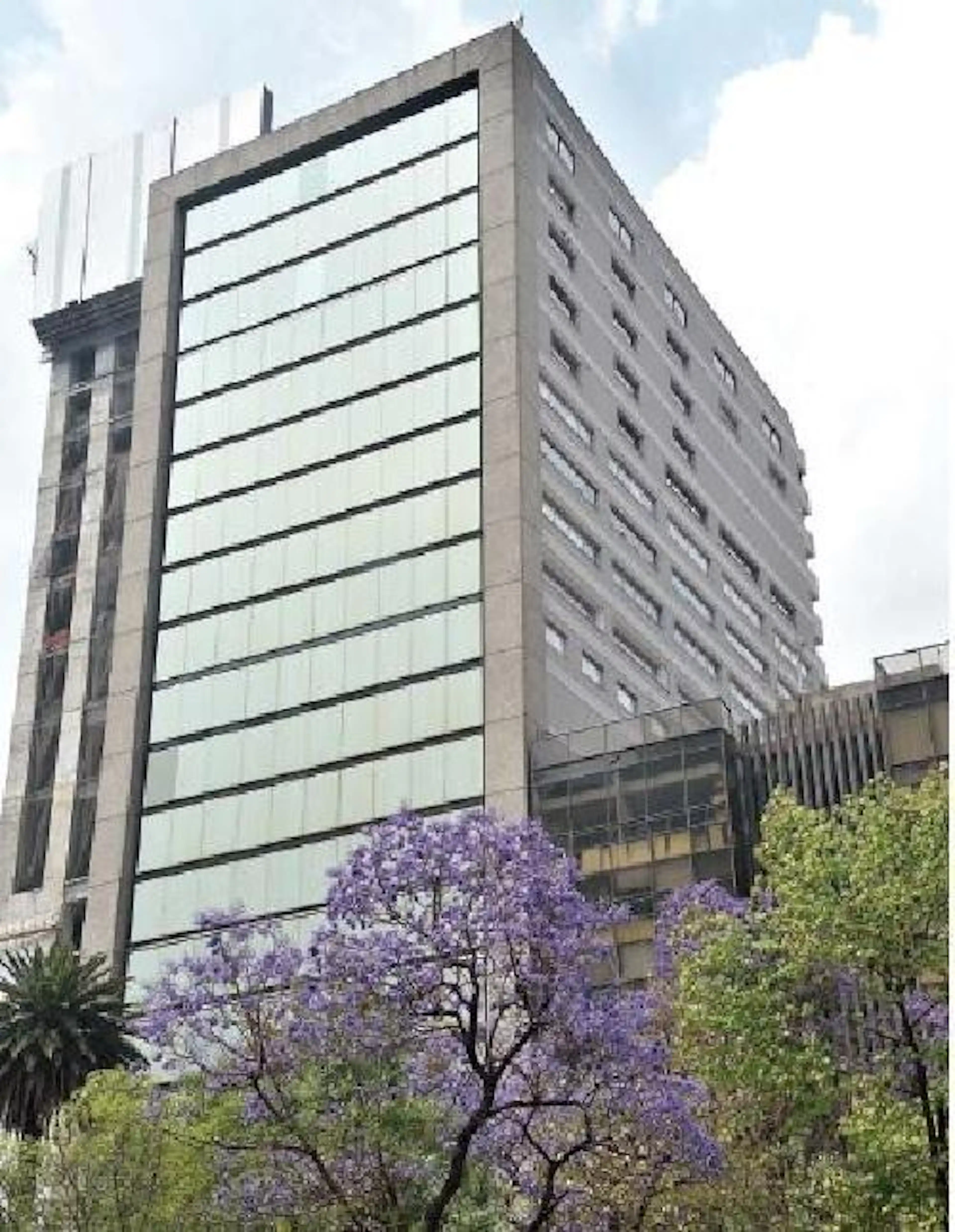 Avenida Paseo De La Reforma