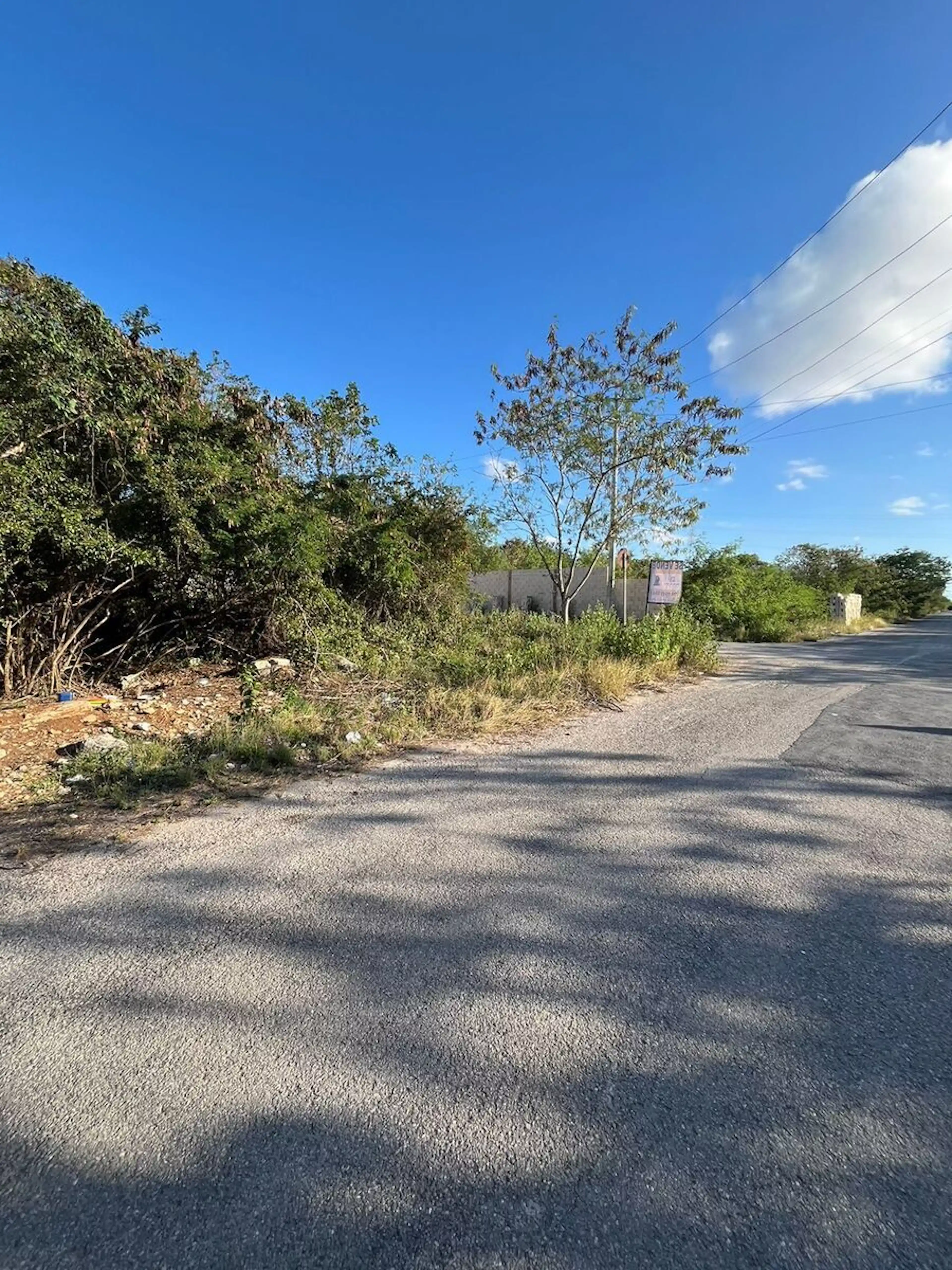 Temozon 1000 M2 En Esquina Y Sobre Calle Principal