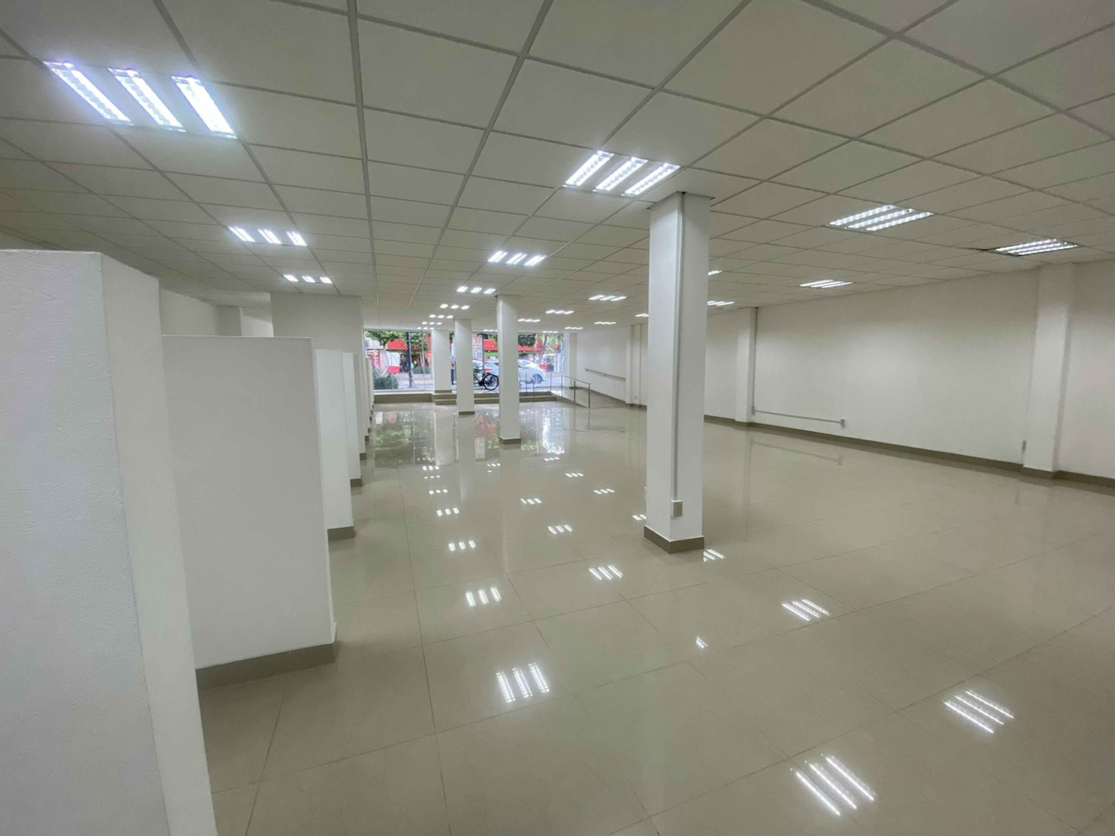 Avenida Insurgentes Sur