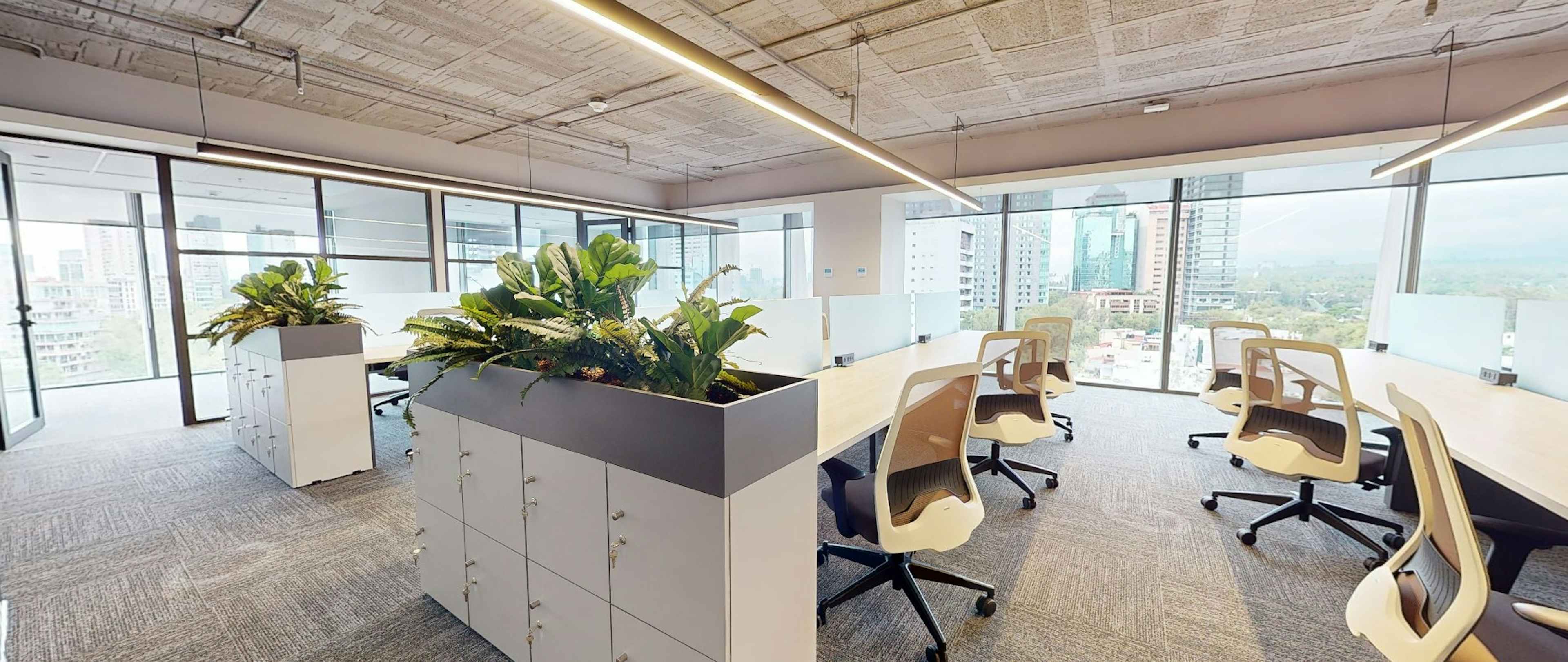 606 - Aprox 24 Personas