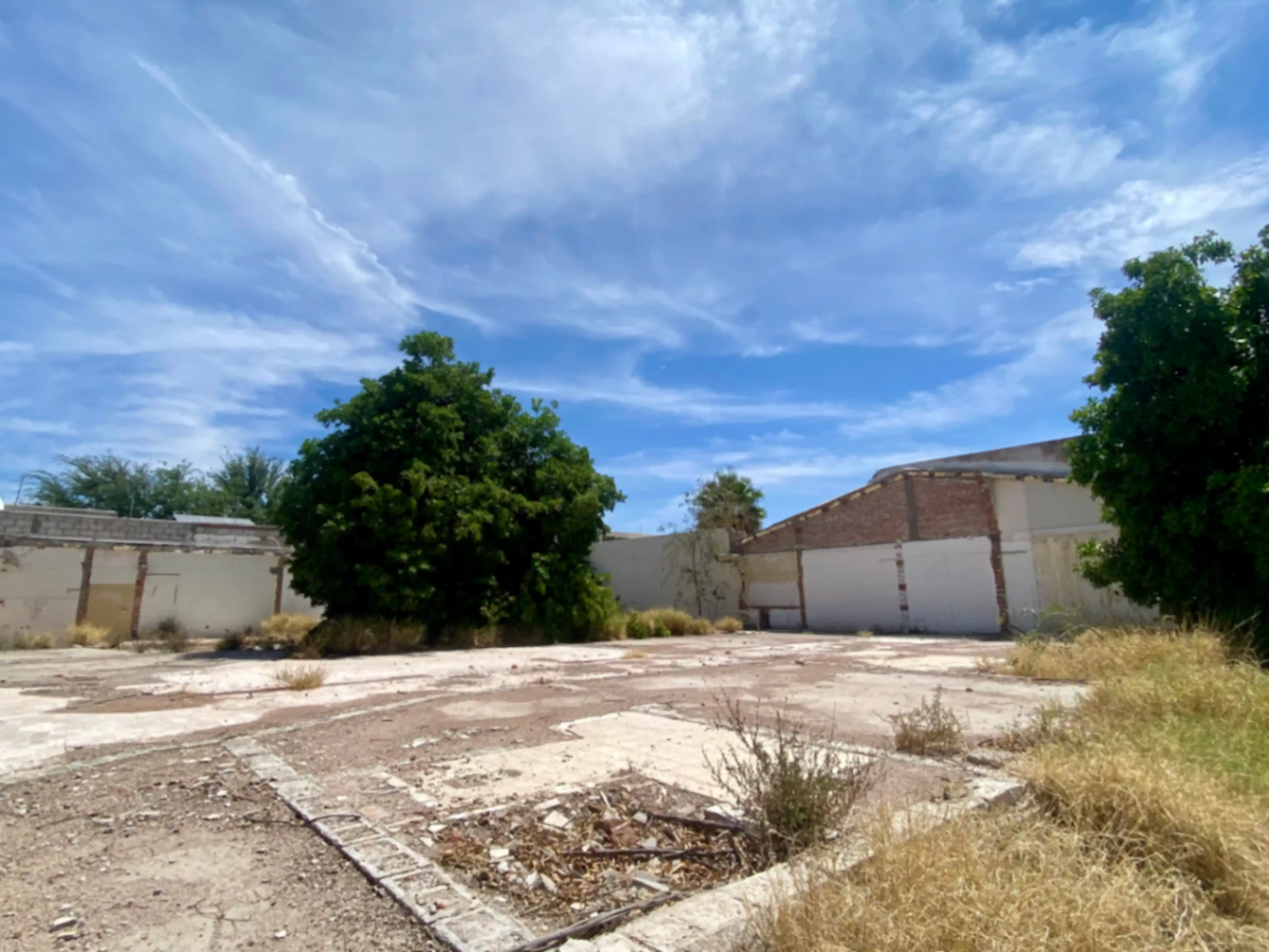 Terreno En Renta En Granjas San Isidro, Torreón, Coahuila De Zaragoza