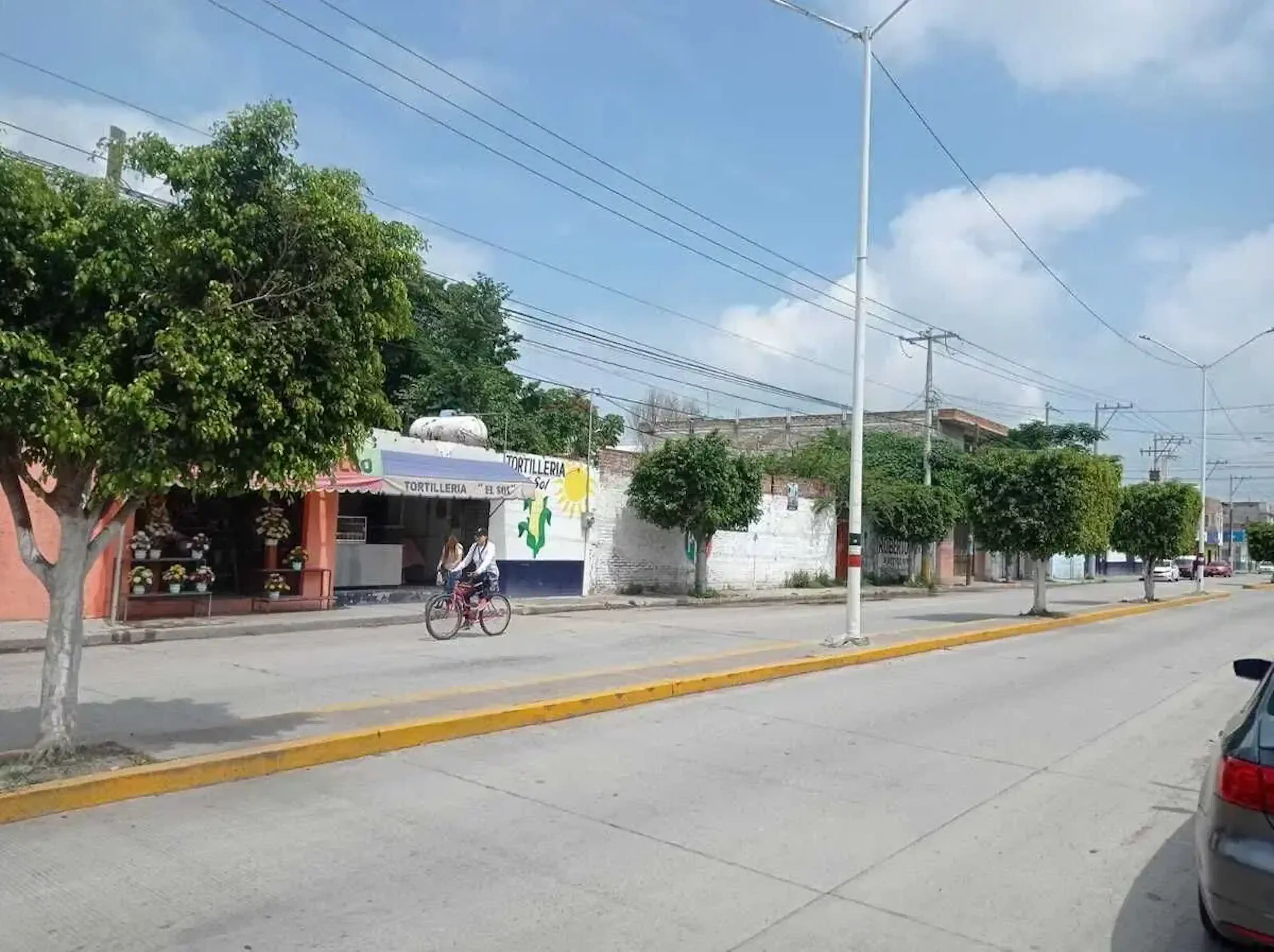 Terreno En Venta En Las Flores, Villagrán, Guanajuato
