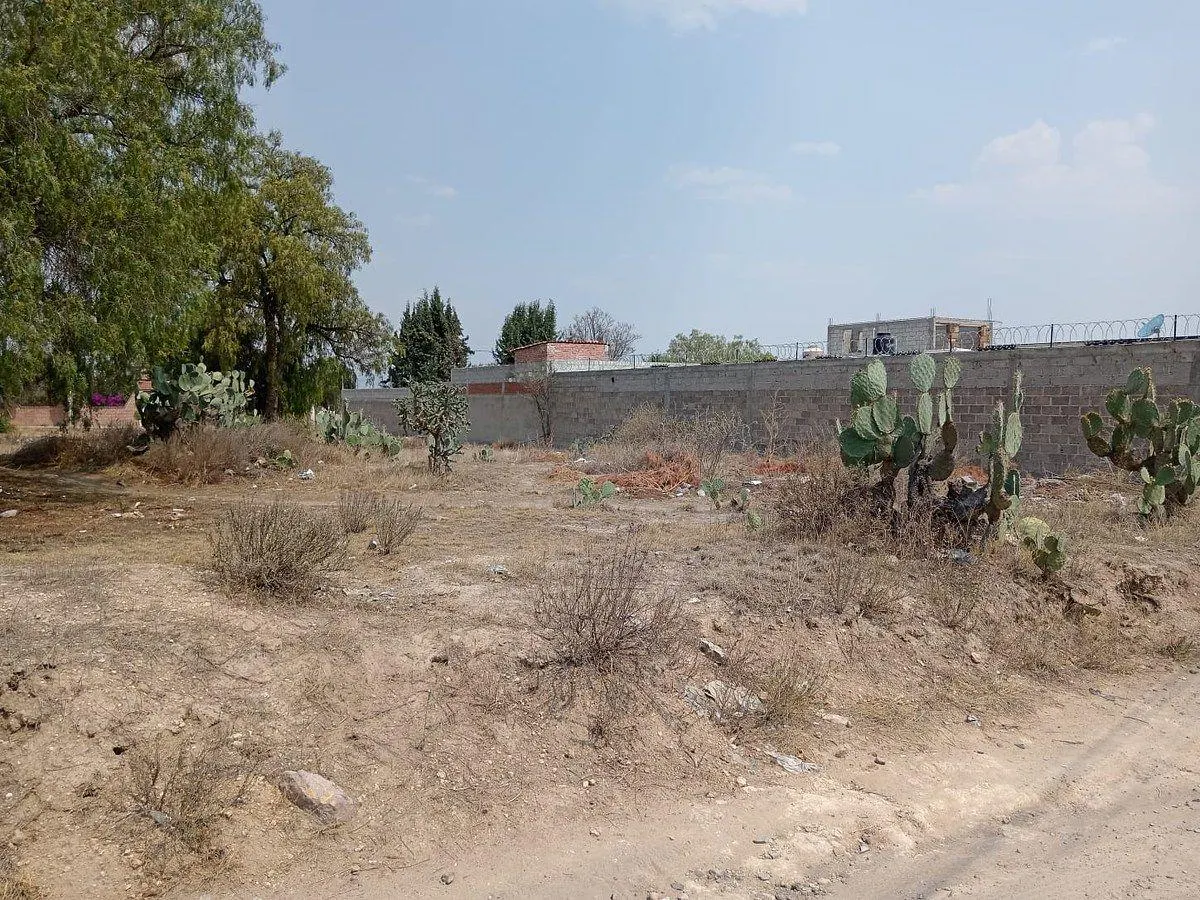 Terreno Spot2
