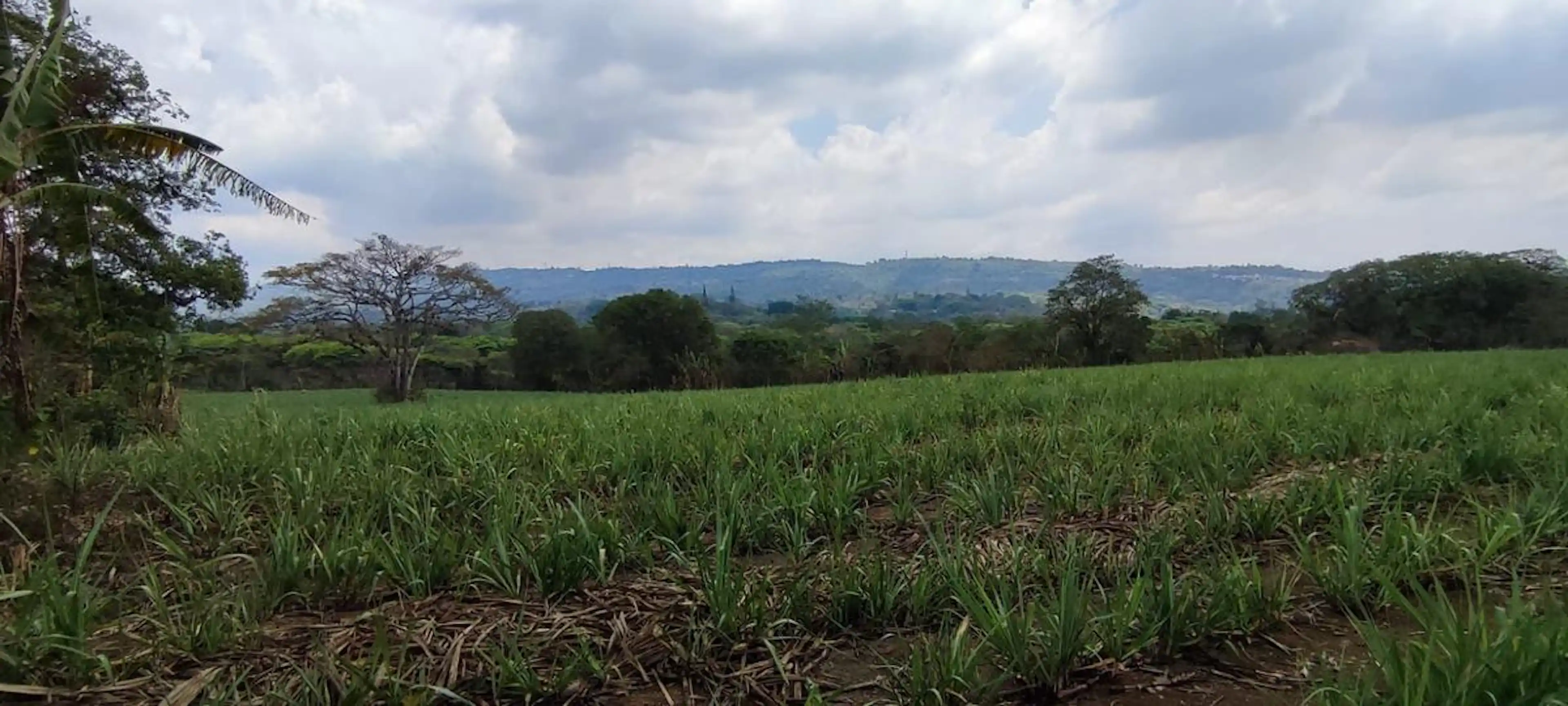 Terreno En Venta En Pacho Nuevo  4 Hectáreas