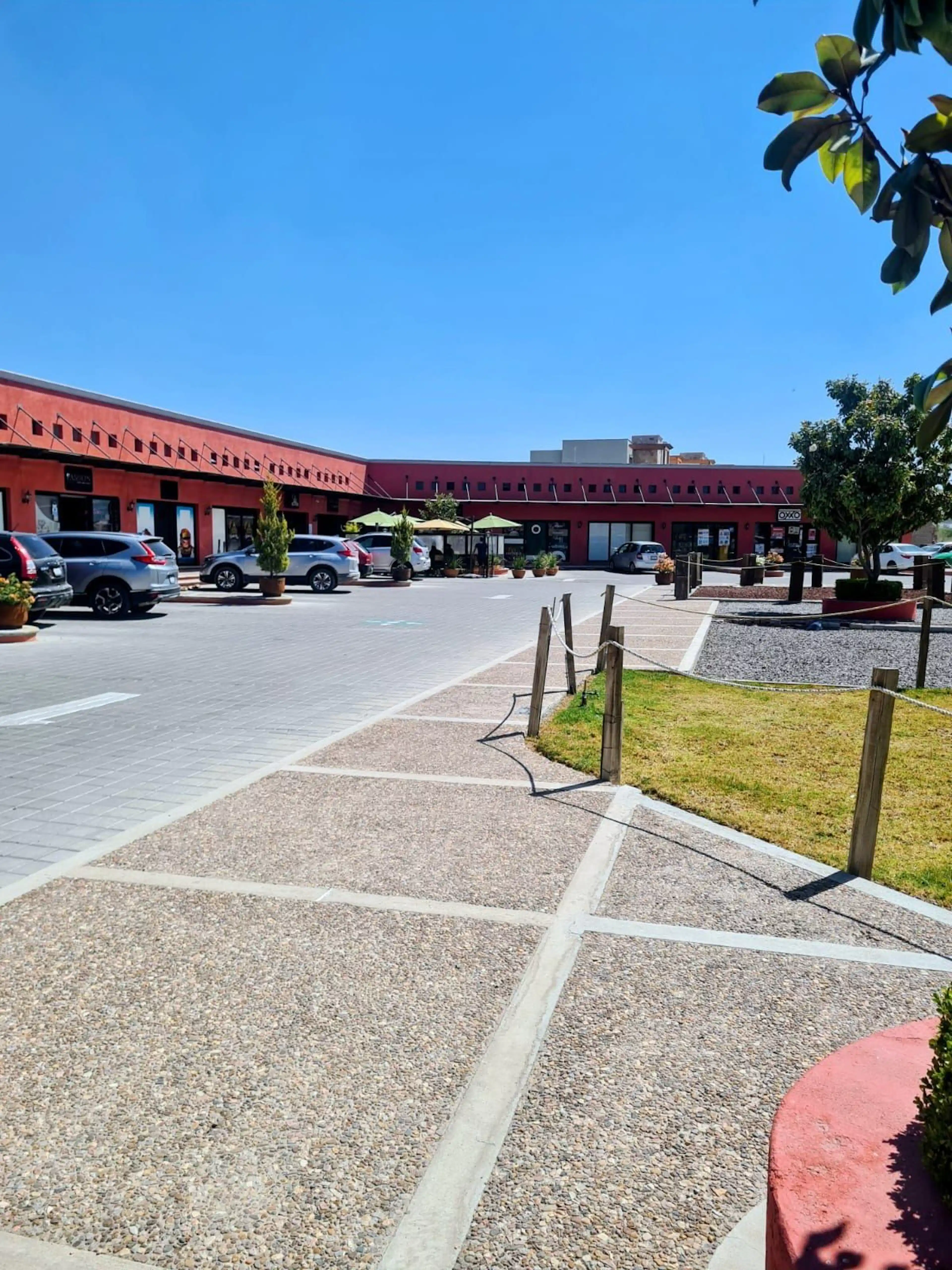 PLAZA MAGNOLIAS 1 1