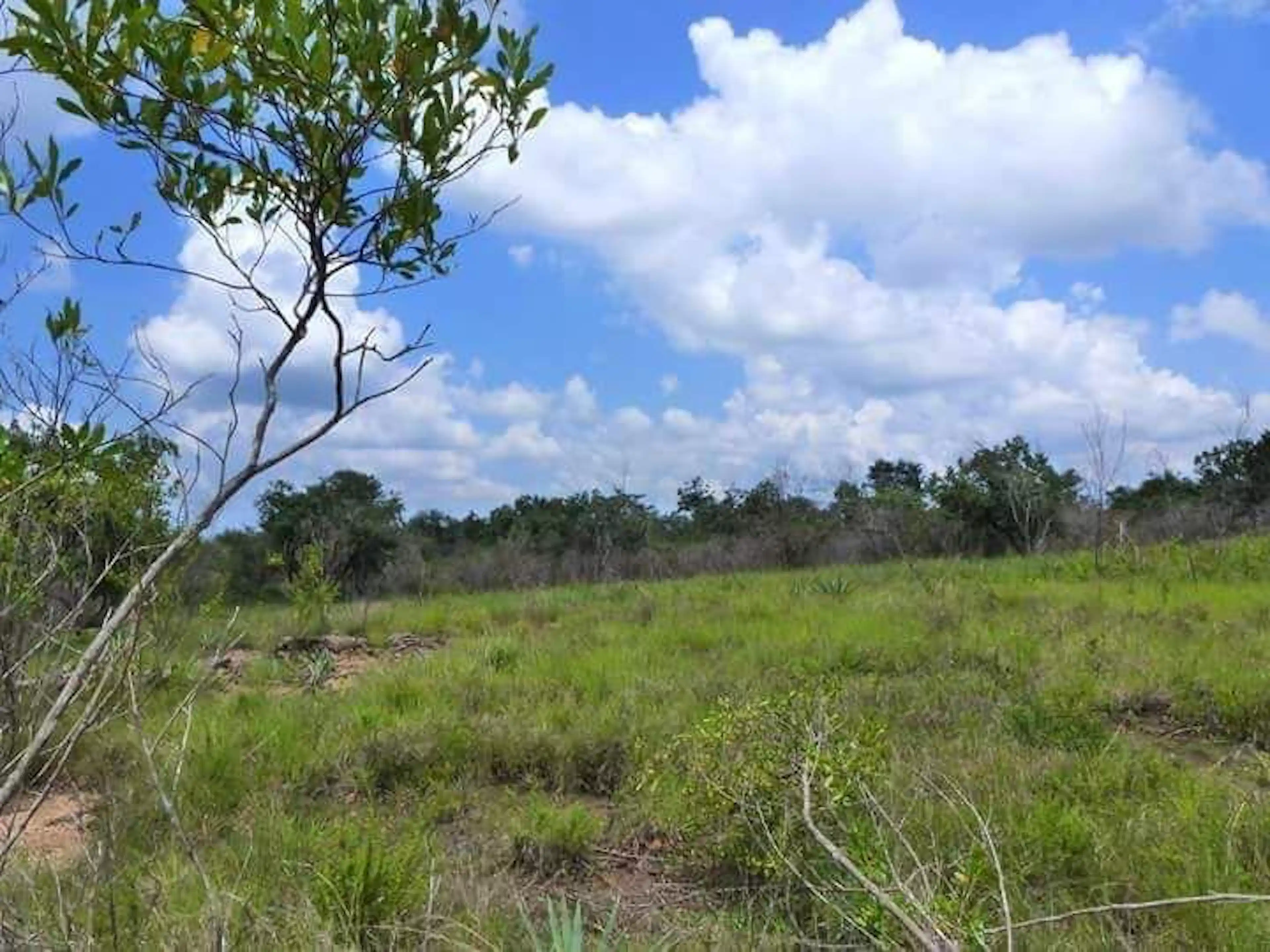 Rancho En Limones, Cosautlan, Veracruz 25 Hectareas