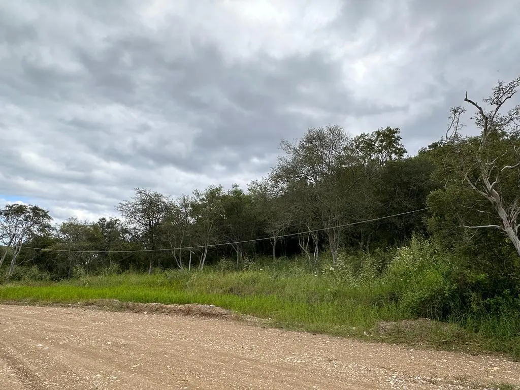 Terreno Spot2
