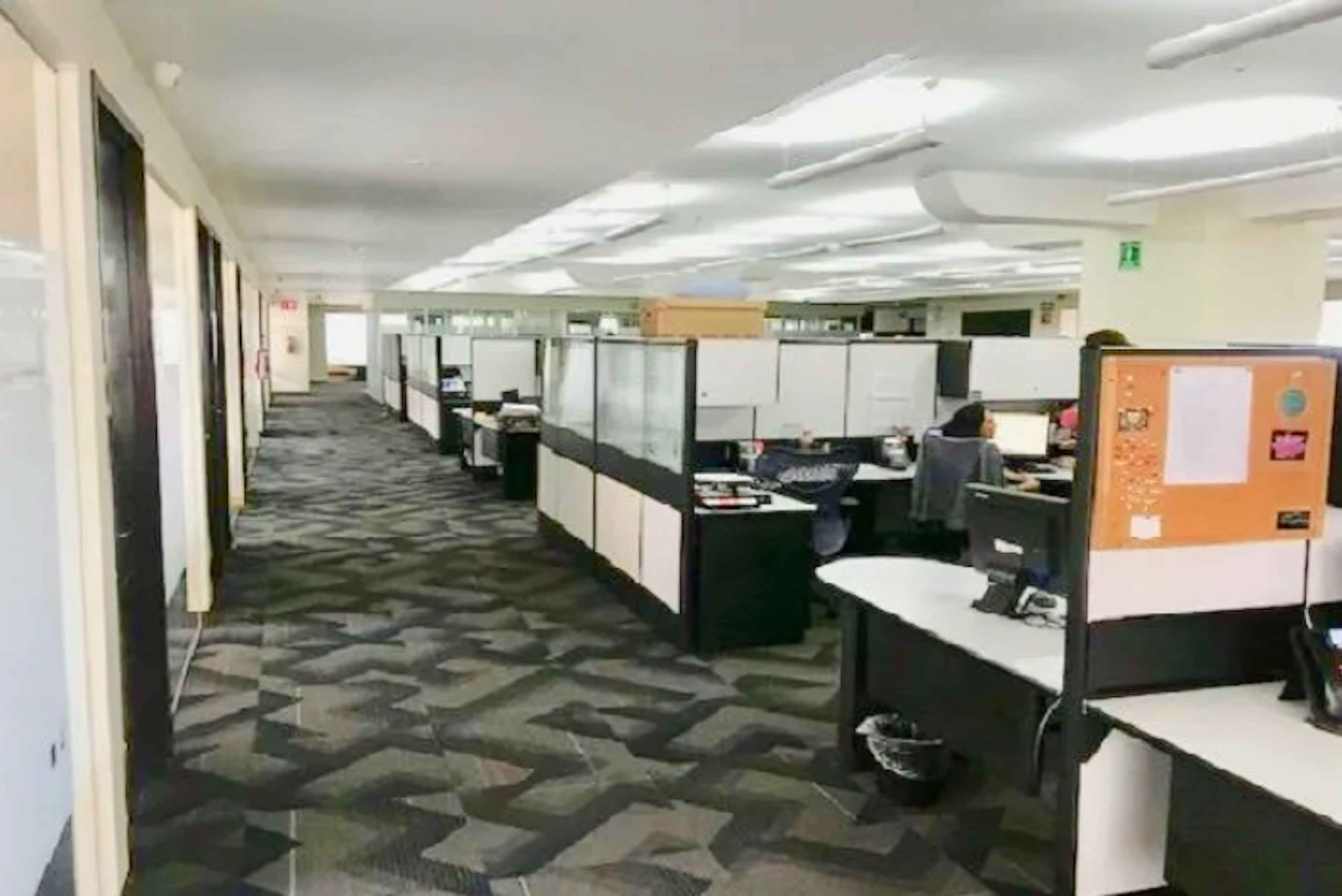 Avenida De Los Insurgentes Sur