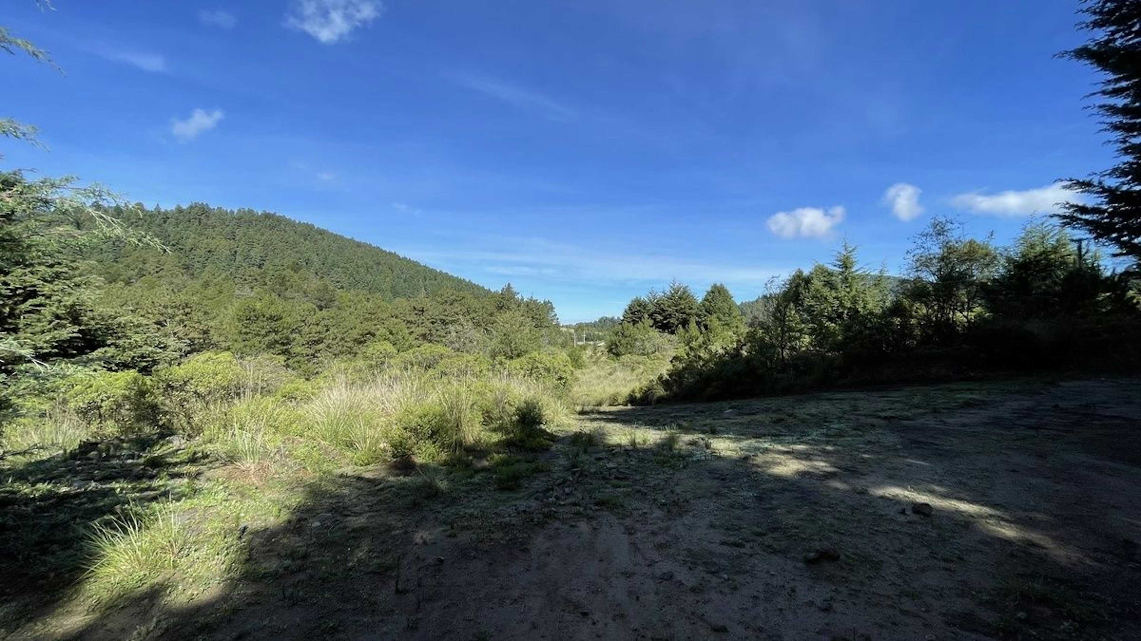 Spot image 0
