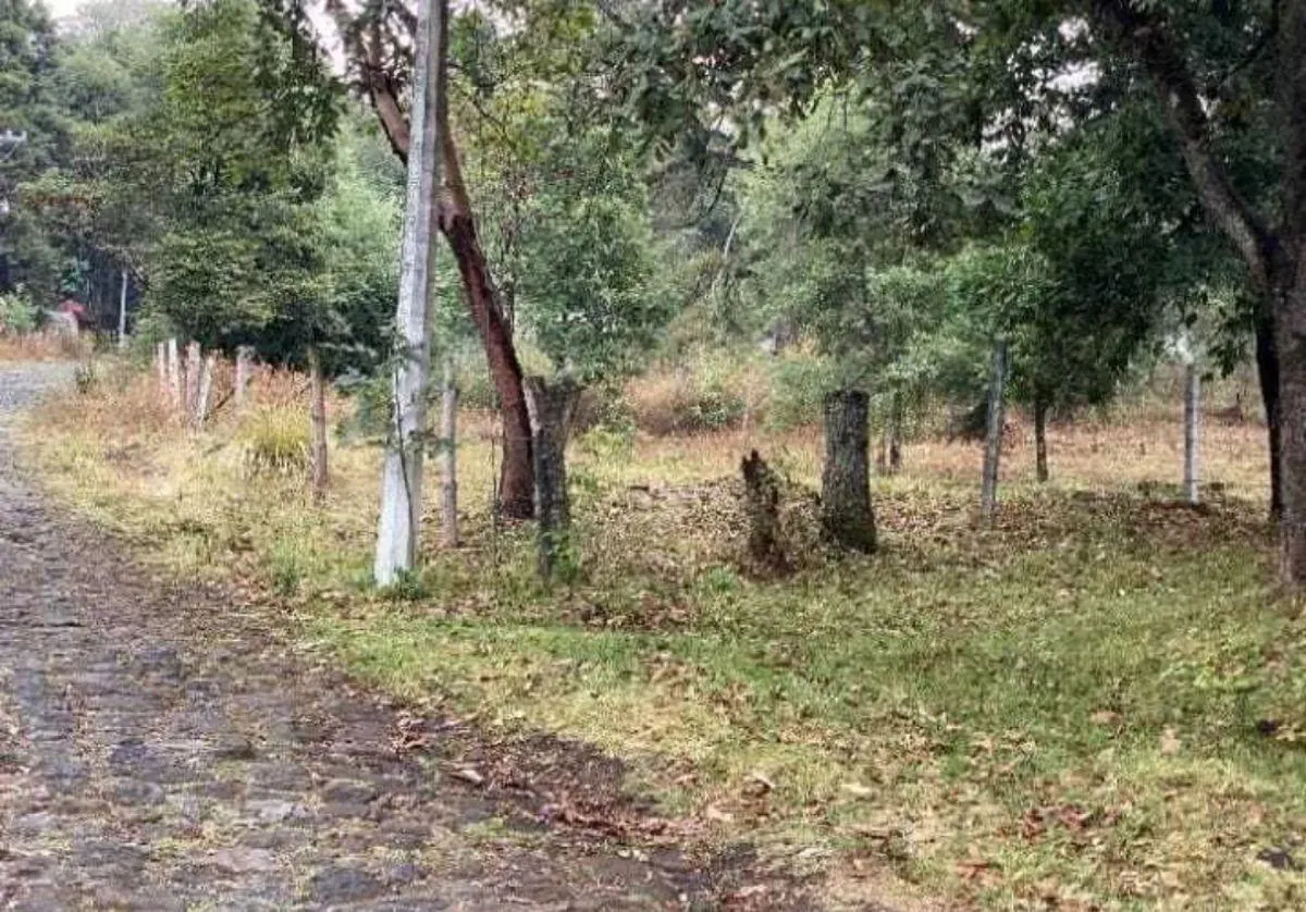 Terreno Spot2