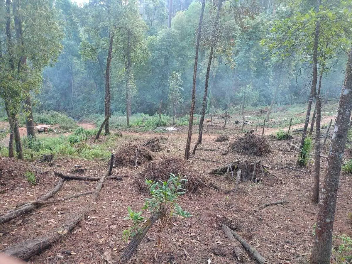 Terreno Spot2