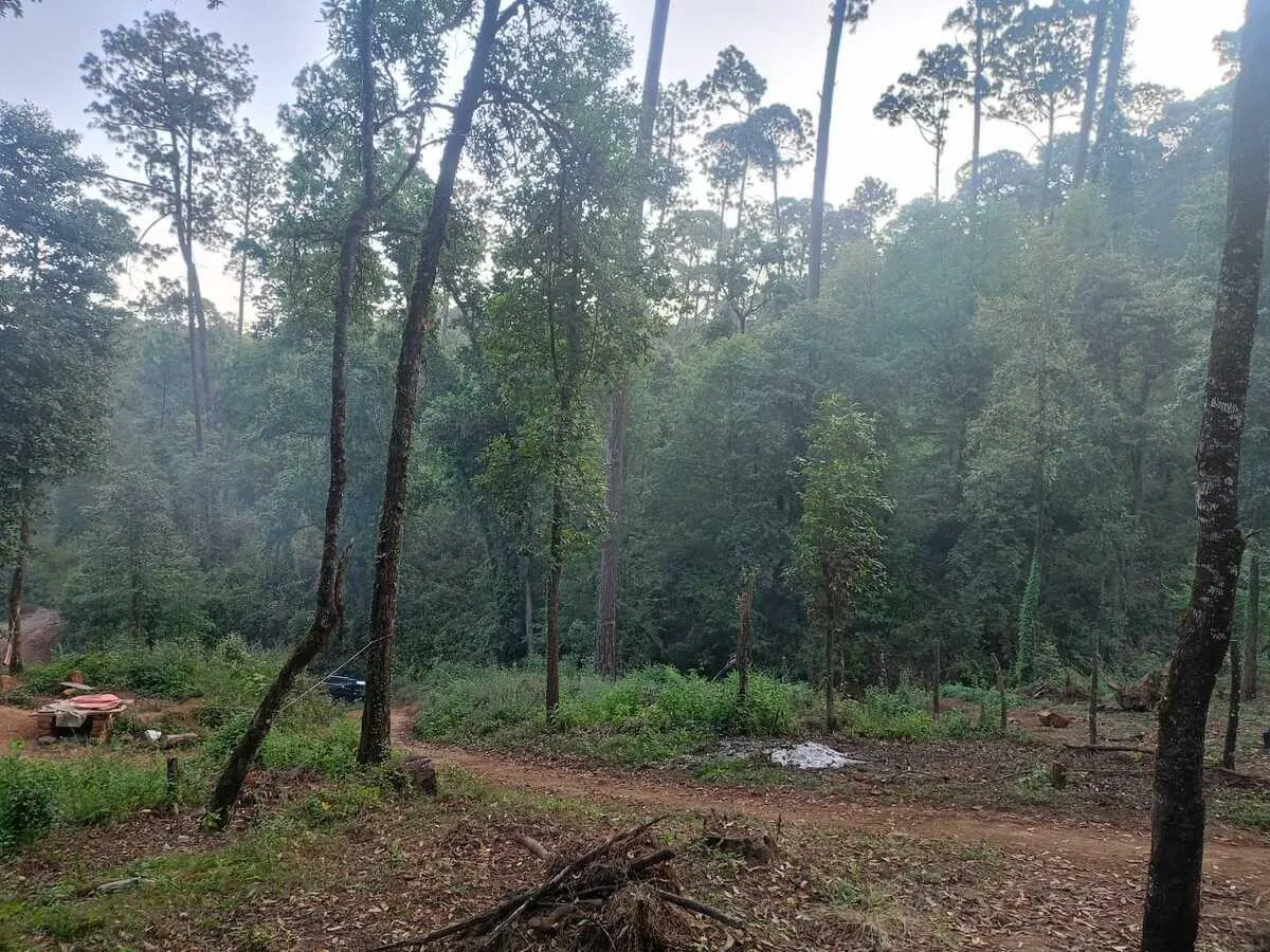Terreno Spot2