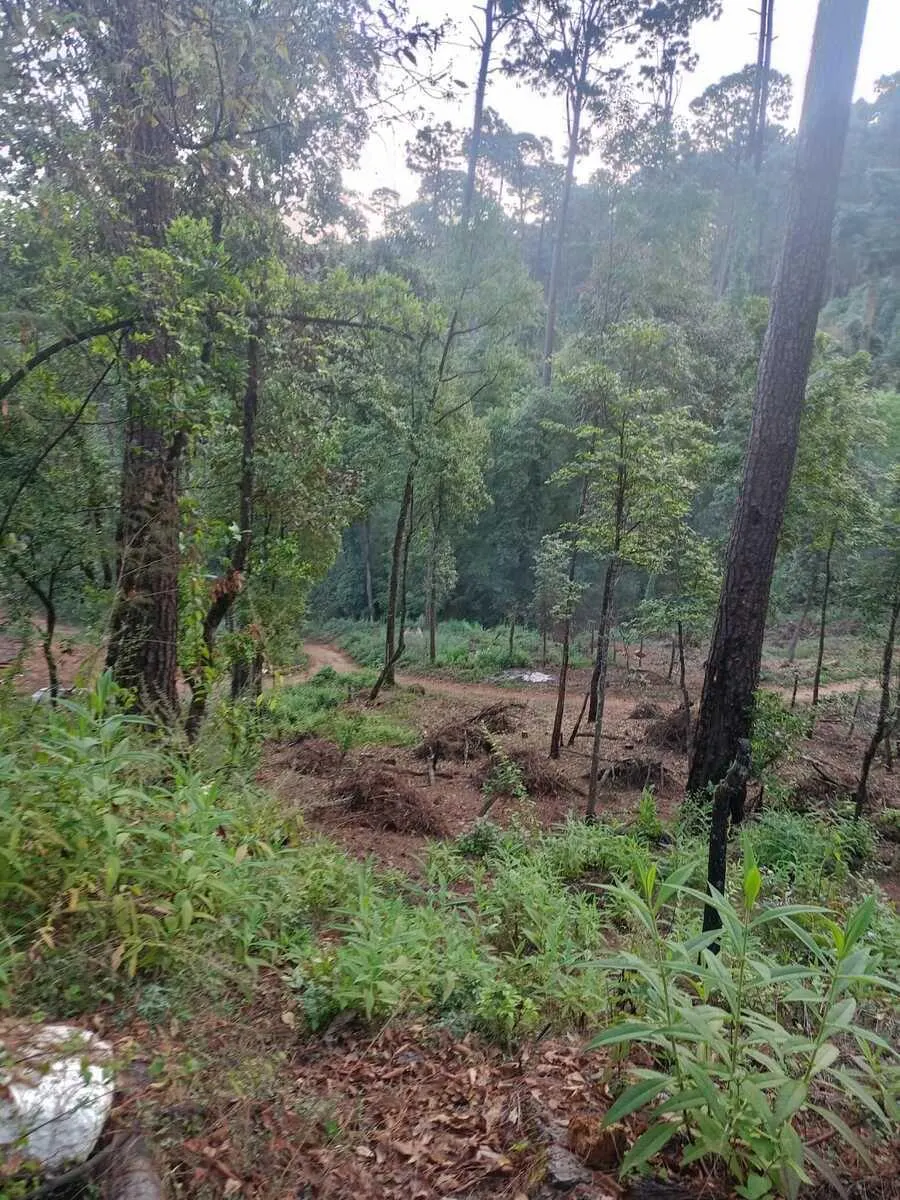 Terreno Spot2