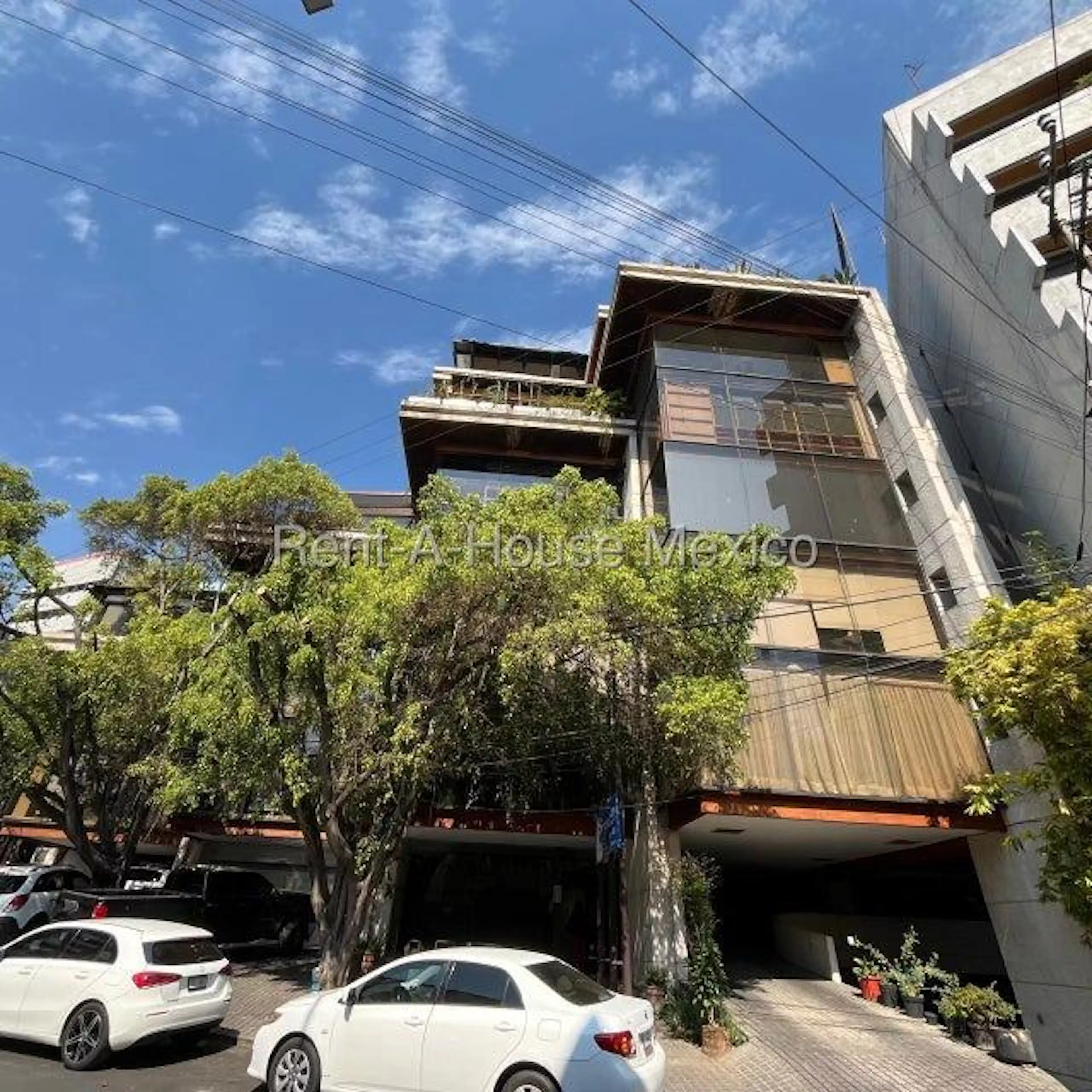 Coyoacán S/N