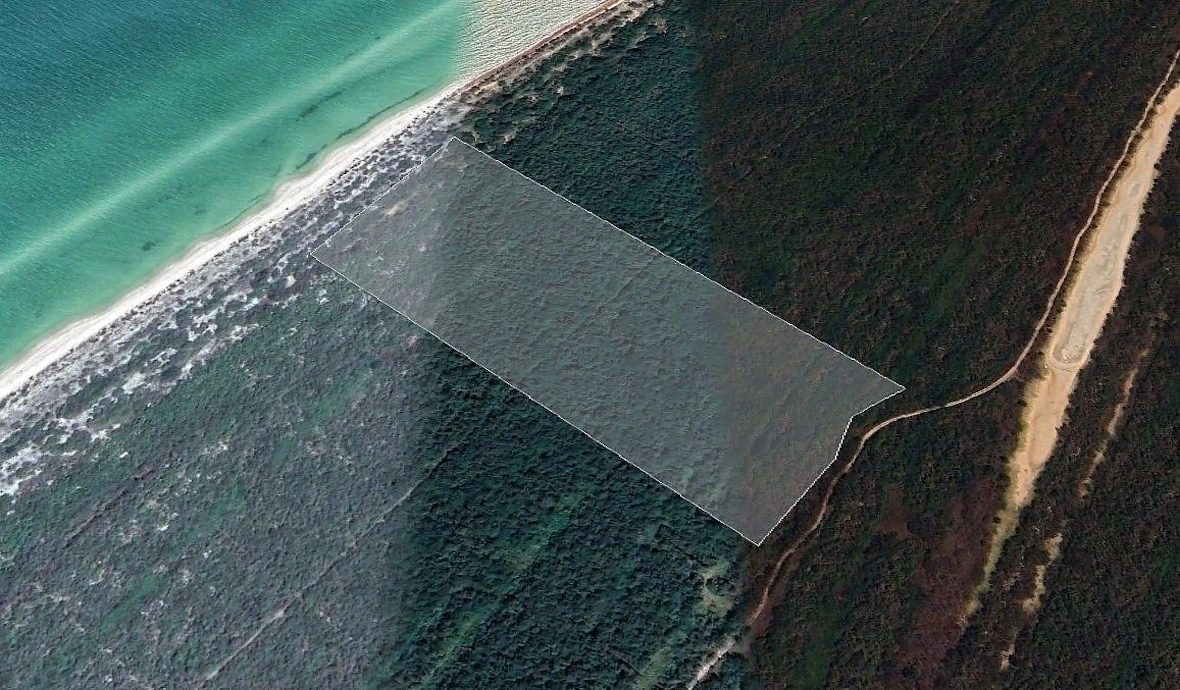 Terreno Frente Al Mar En La Costa De Celestún Yucatán