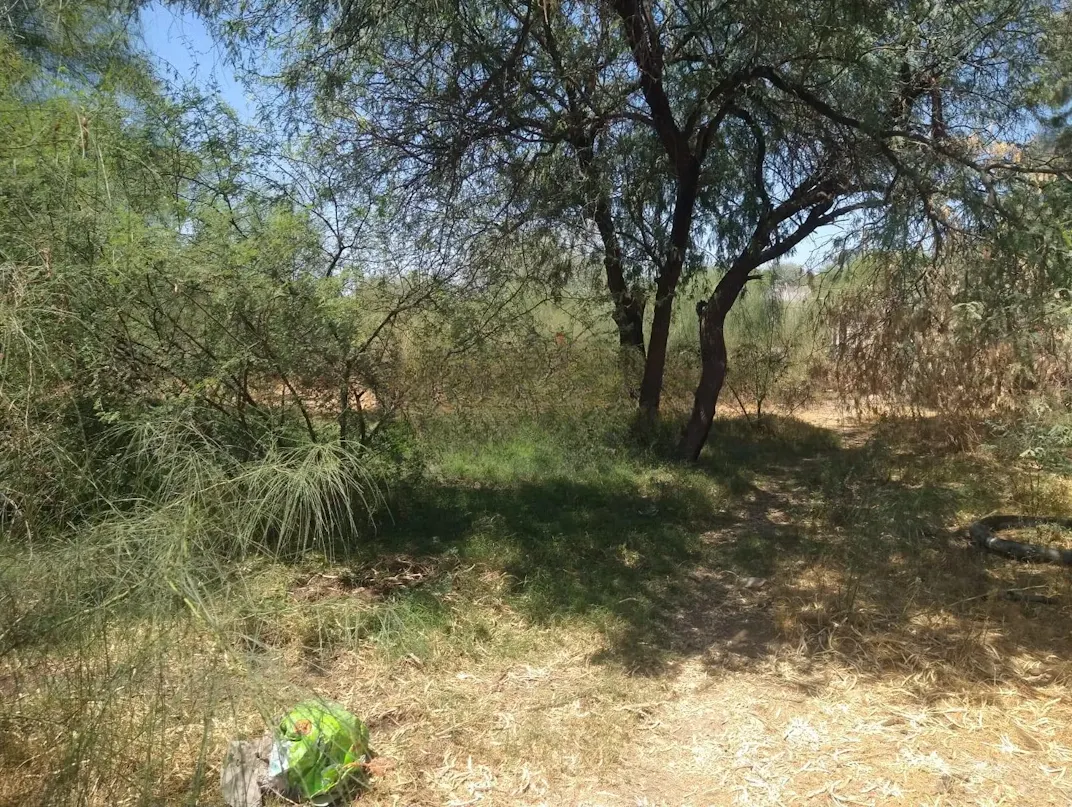 Terreno Spot2