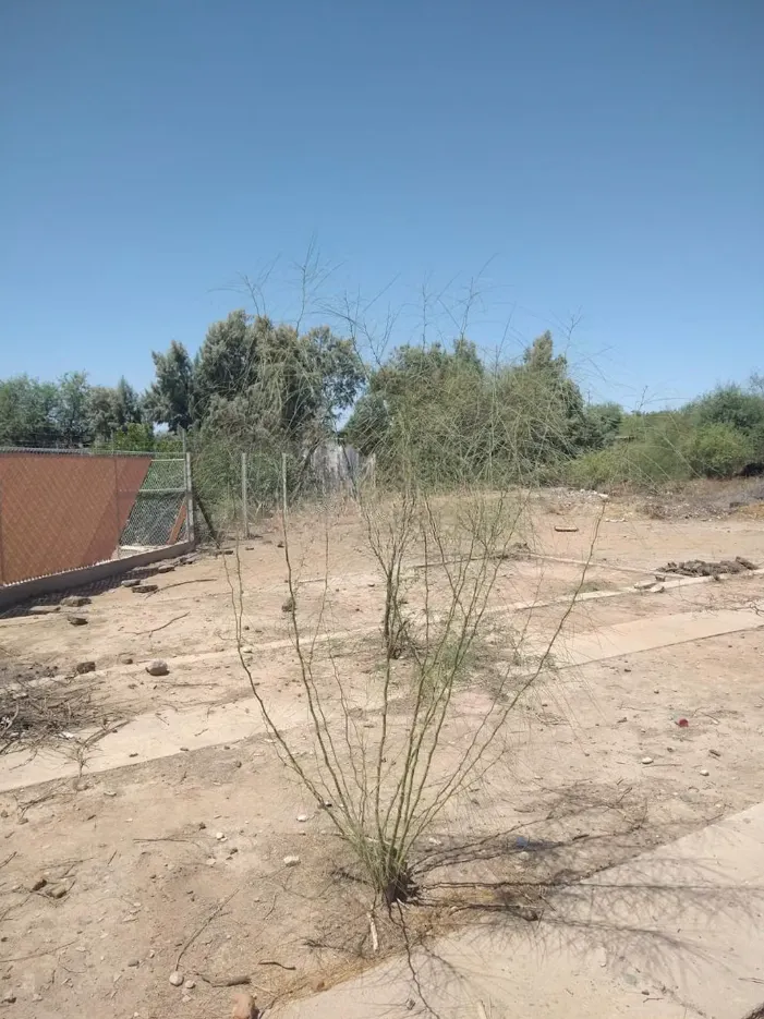 Terreno Spot2