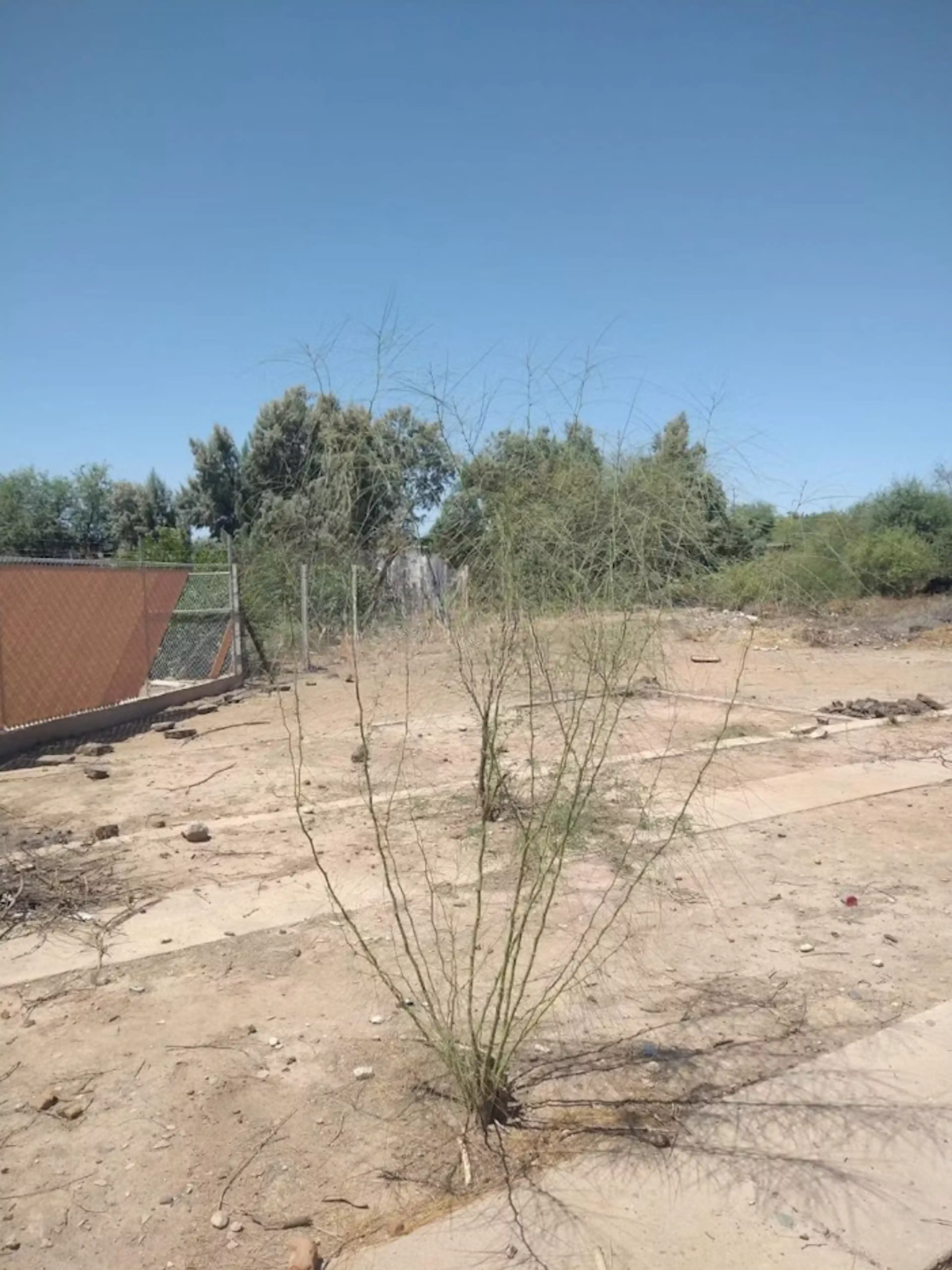 Terreno En La Victoria