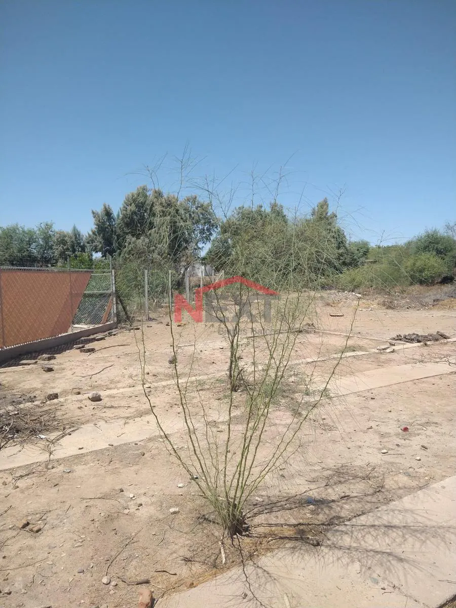 Terreno Spot2