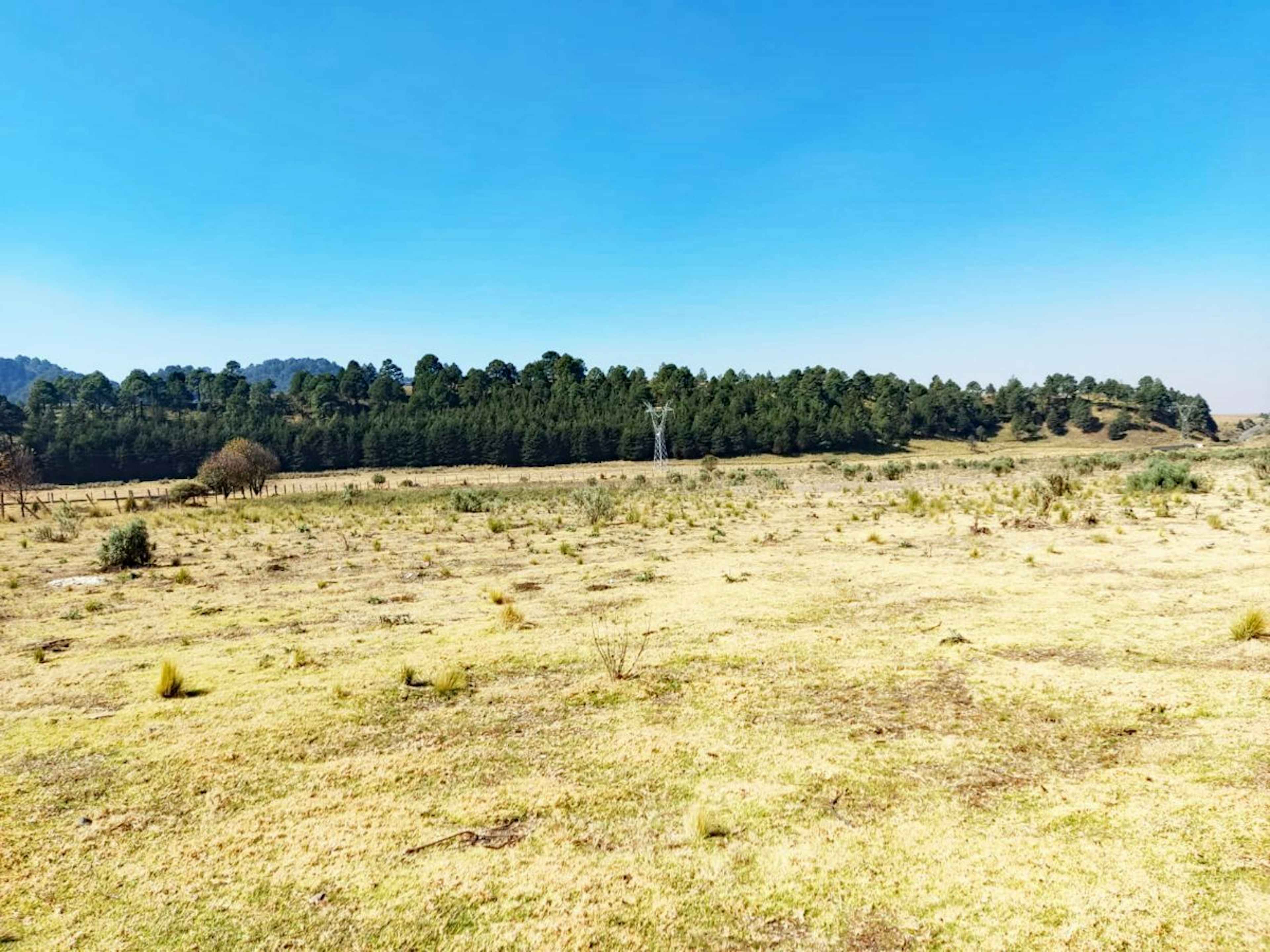 San Bartolo Del Progreso (san Bartolo)