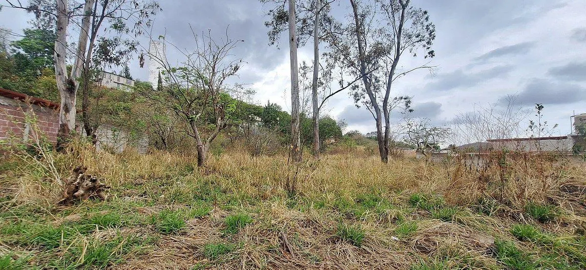 Terreno Spot2