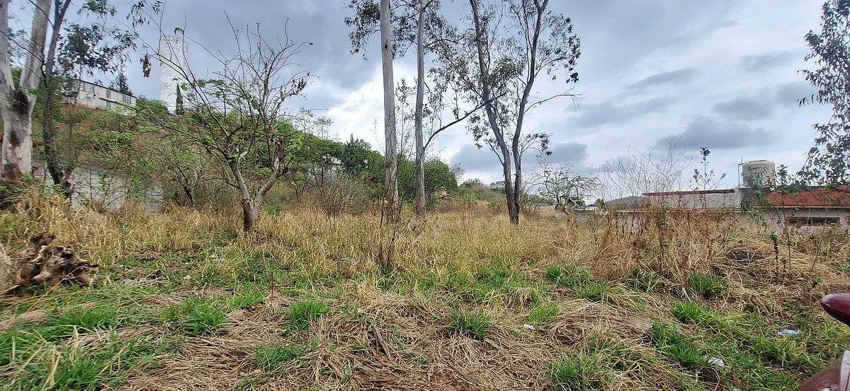 Terreno Spot2