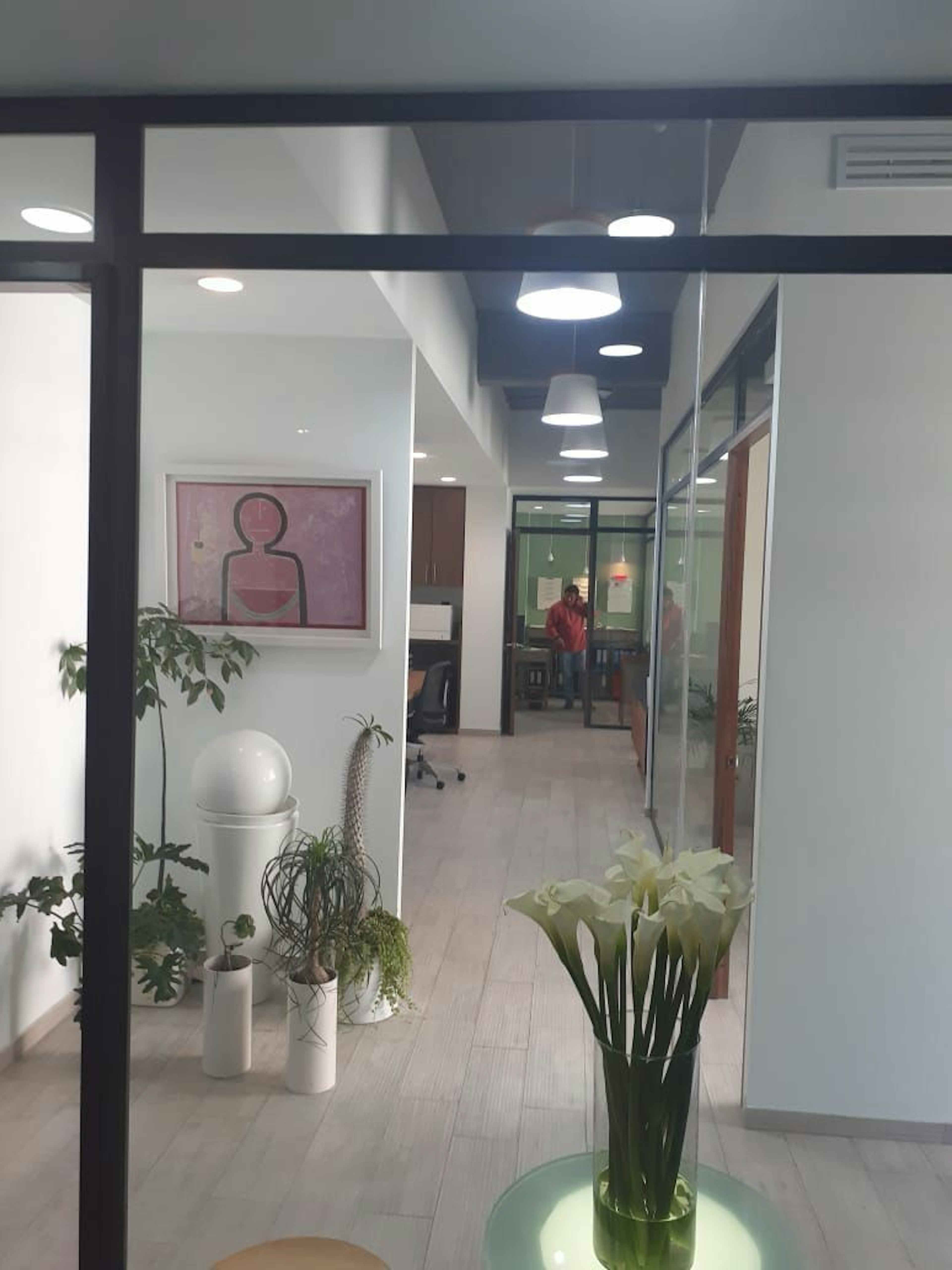 Bosques De Alisos 13