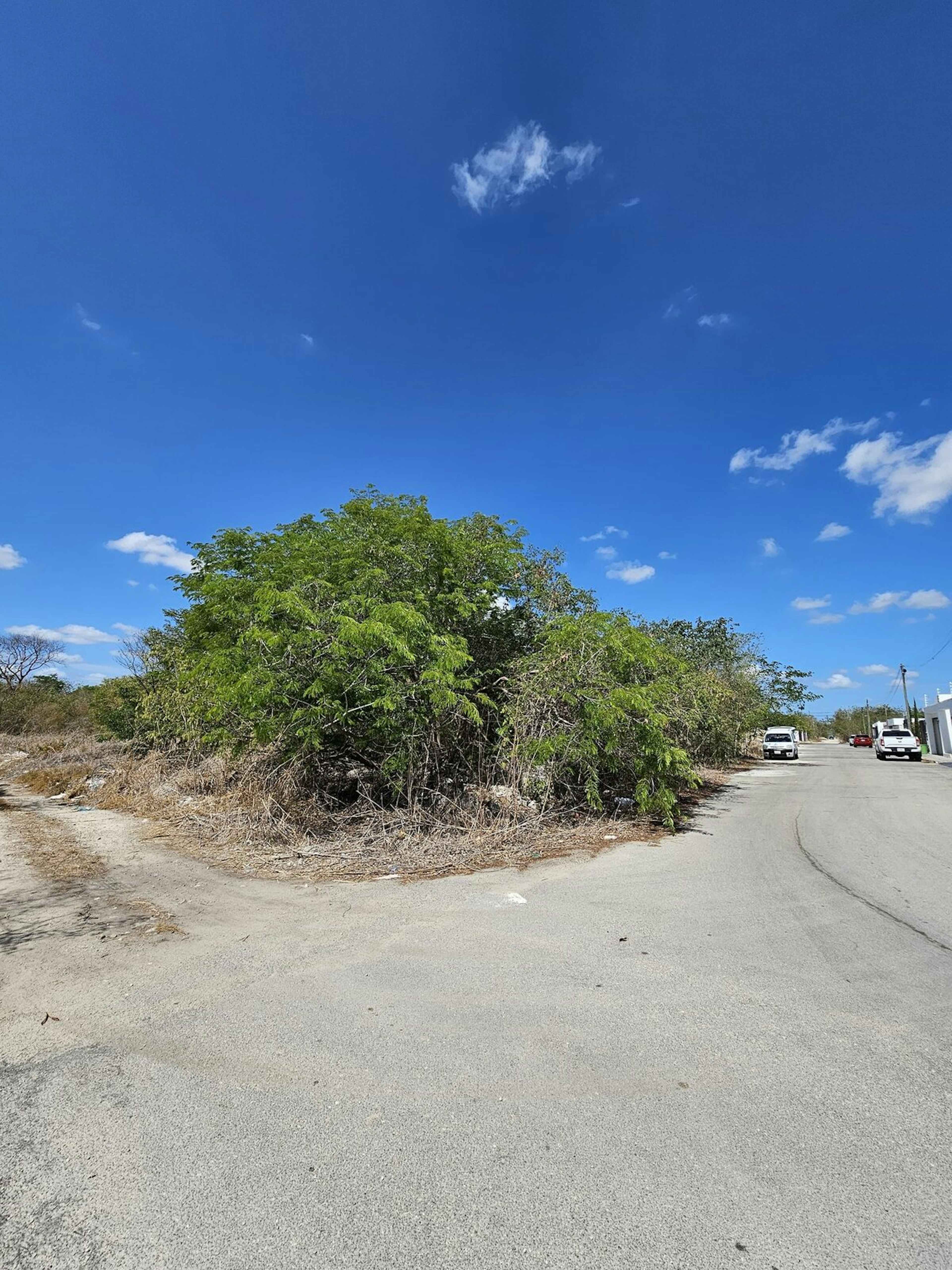 Dzitya - Entronque Carretera Mérida Progreso S/n