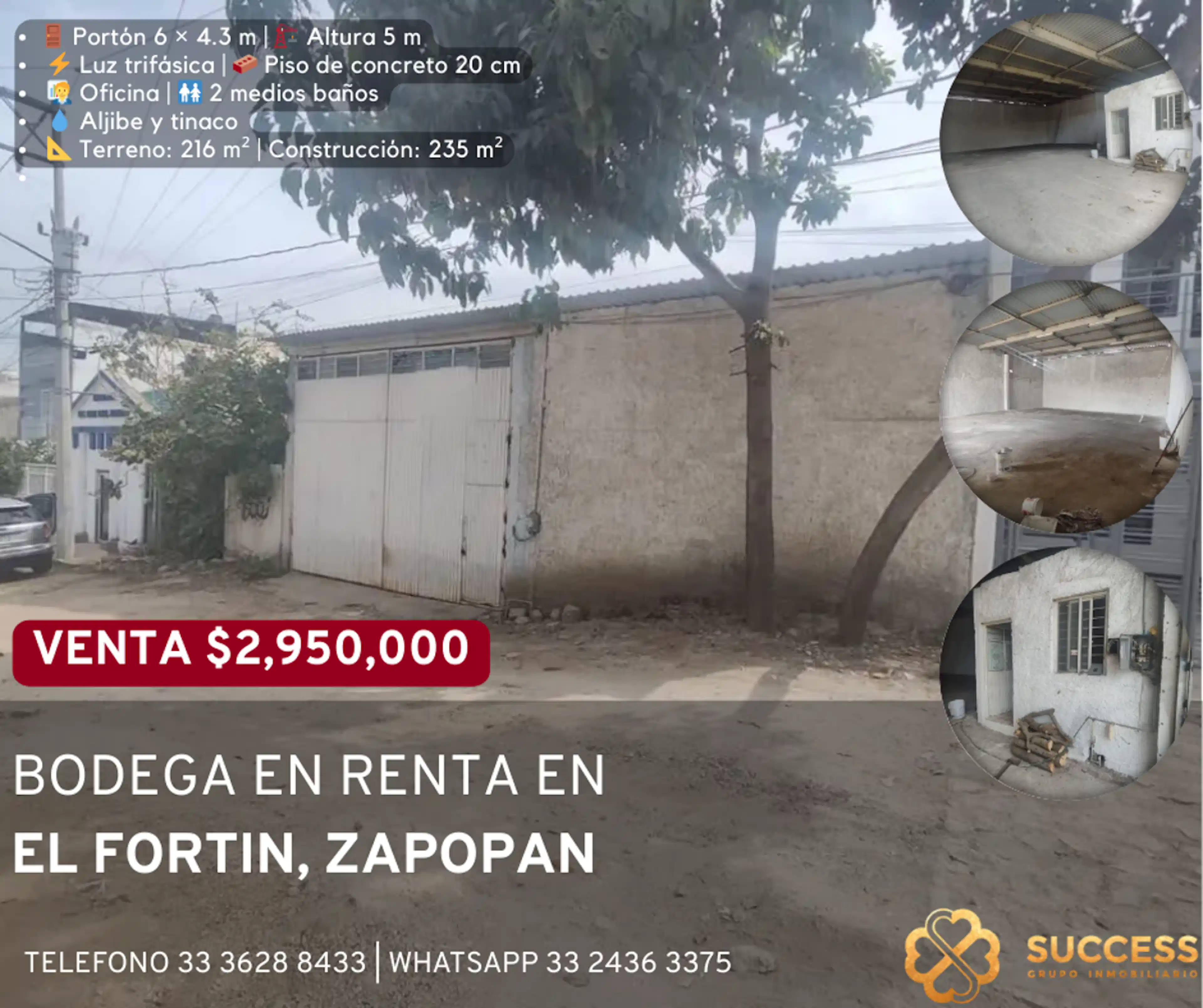 EL FORTIN |
