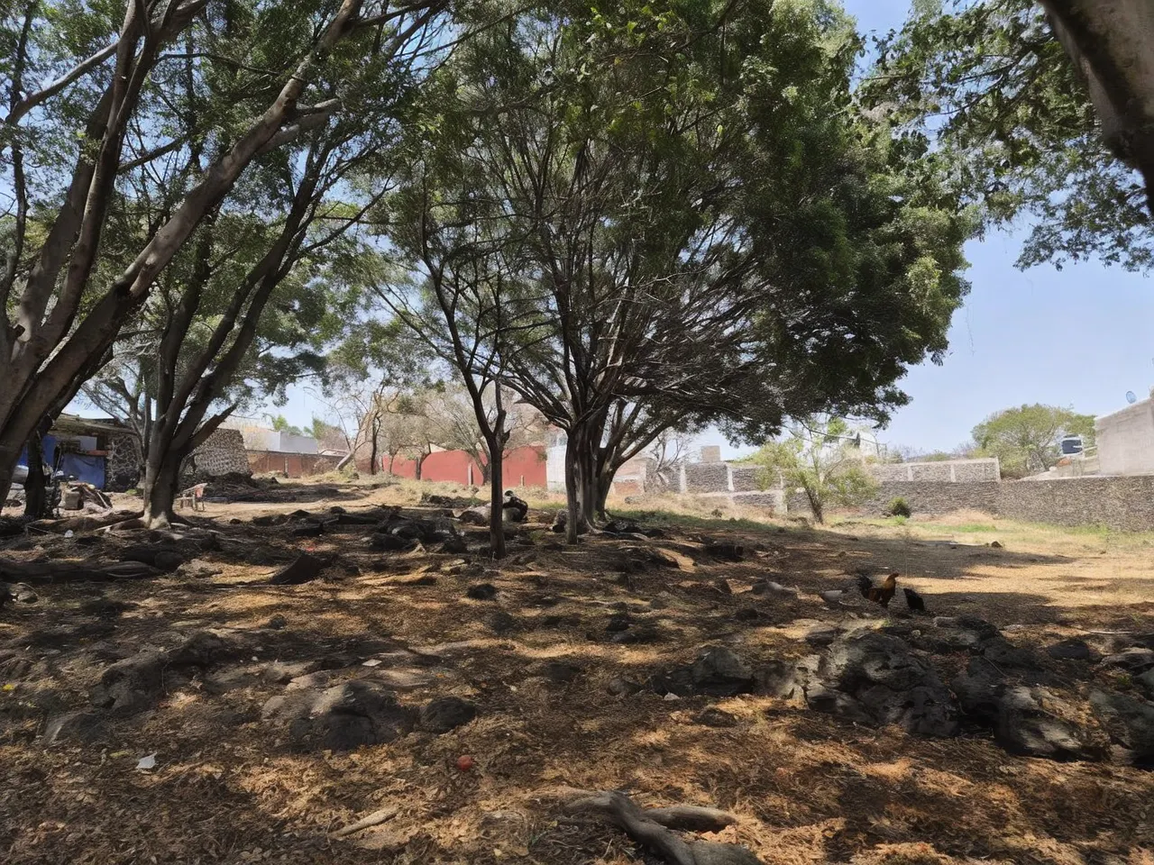 Terreno Spot2