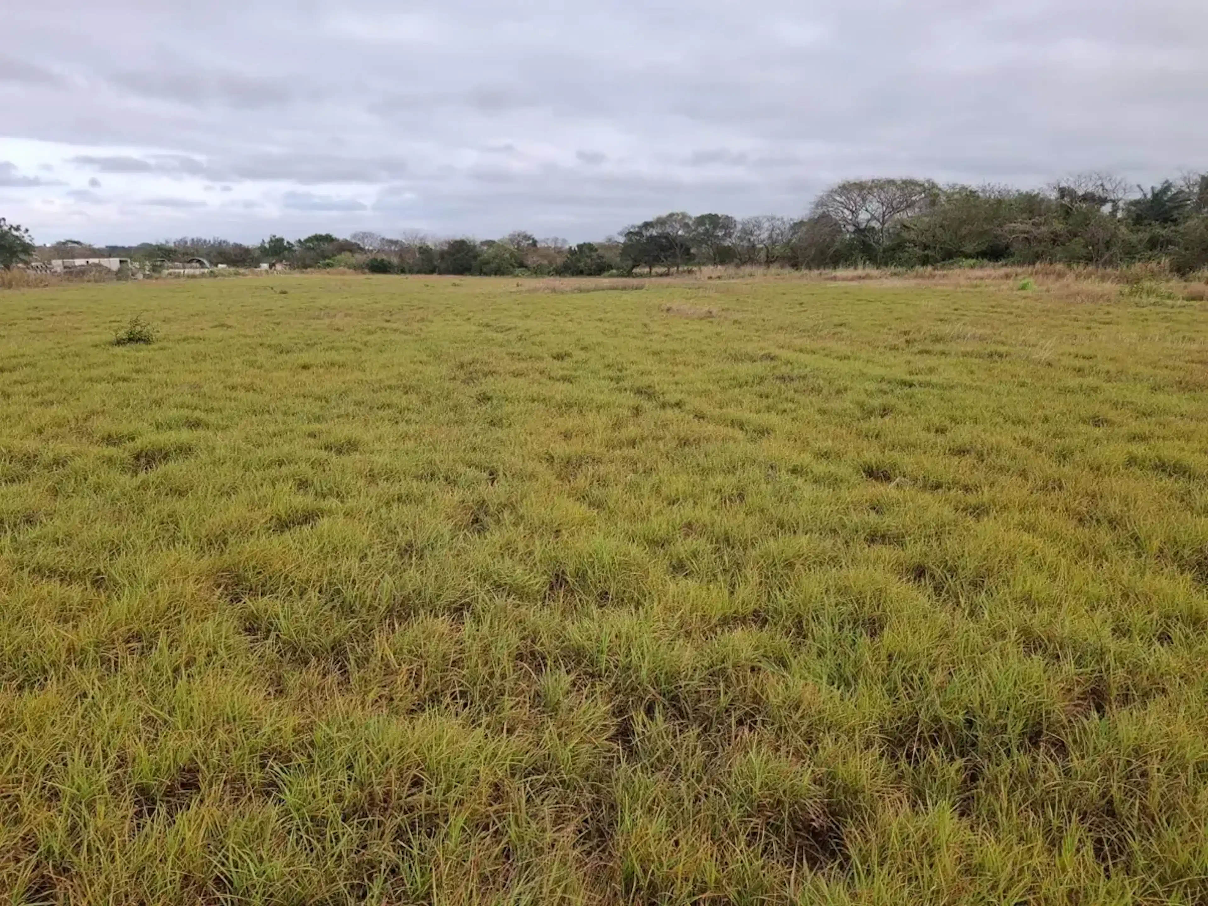 Terreno En Venta En Medellín, Medellín De Bravo, Veracruz De Ignacio De La Llave
