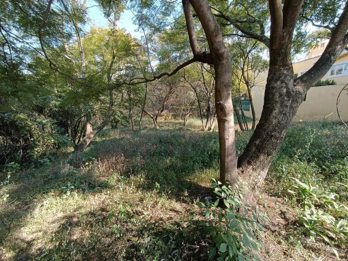 Terreno Spot2