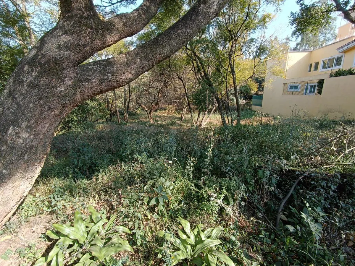 Terreno Spot2
